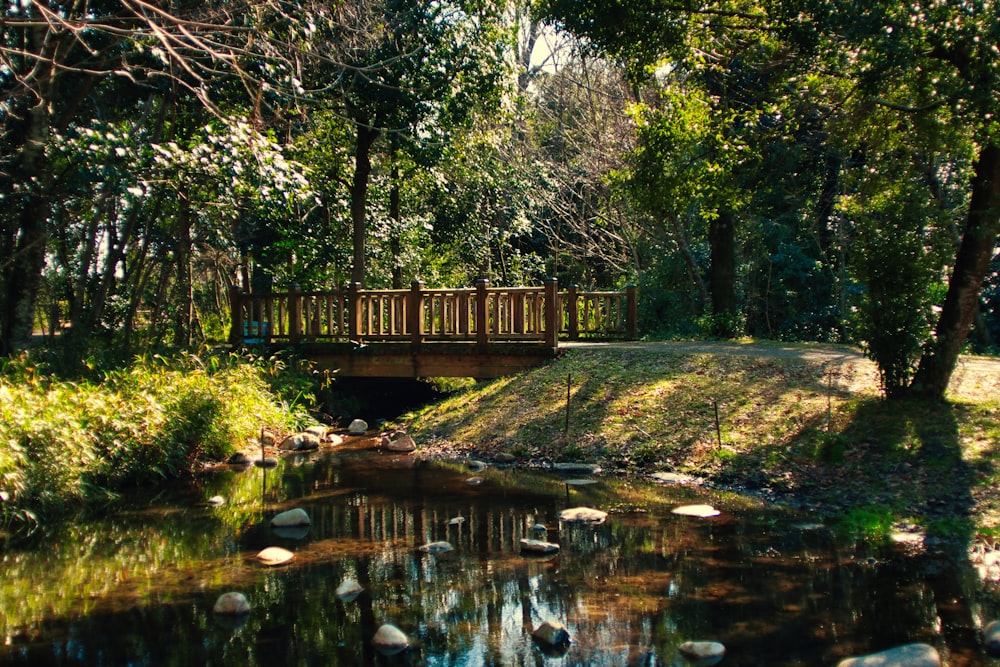 eine Holzbrücke über einen kleinen Bach in einem Wald