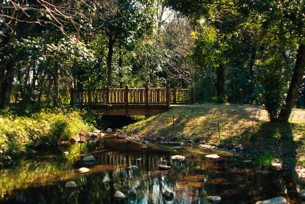 a wooden bridge over a small stream in a forest