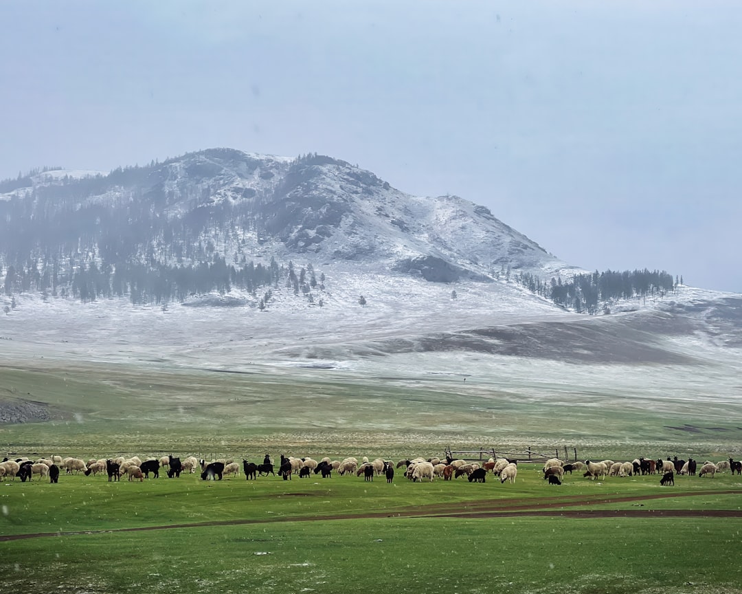 7 Unique Destinations for a Transformative Midlife Gap Year Adventu… — 7 Unique Destinations for …, photo 2
