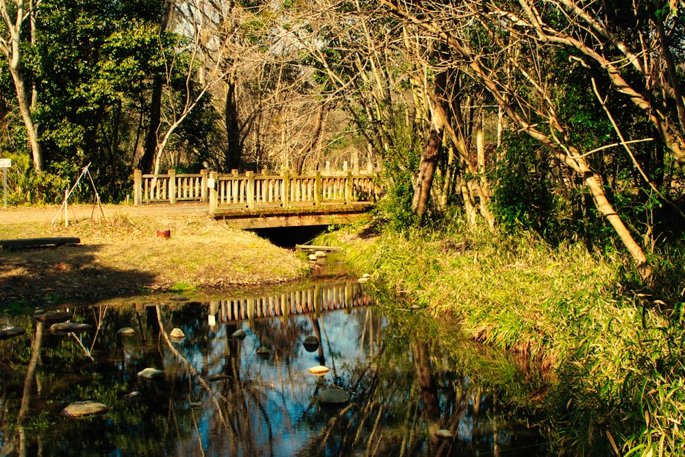 eine Holzbrücke über einen kleinen Bach in einem Park