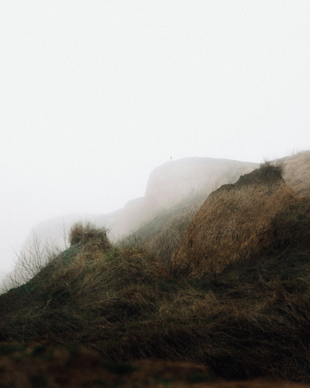 a sheep standing on top of a grass covered hill