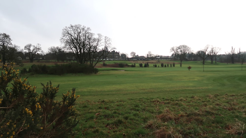 a view of a golf course from a distance