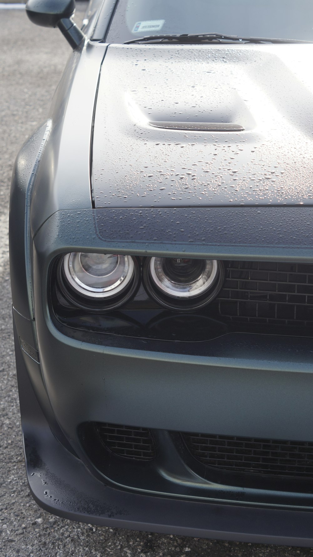 a close up of the front of a sports car