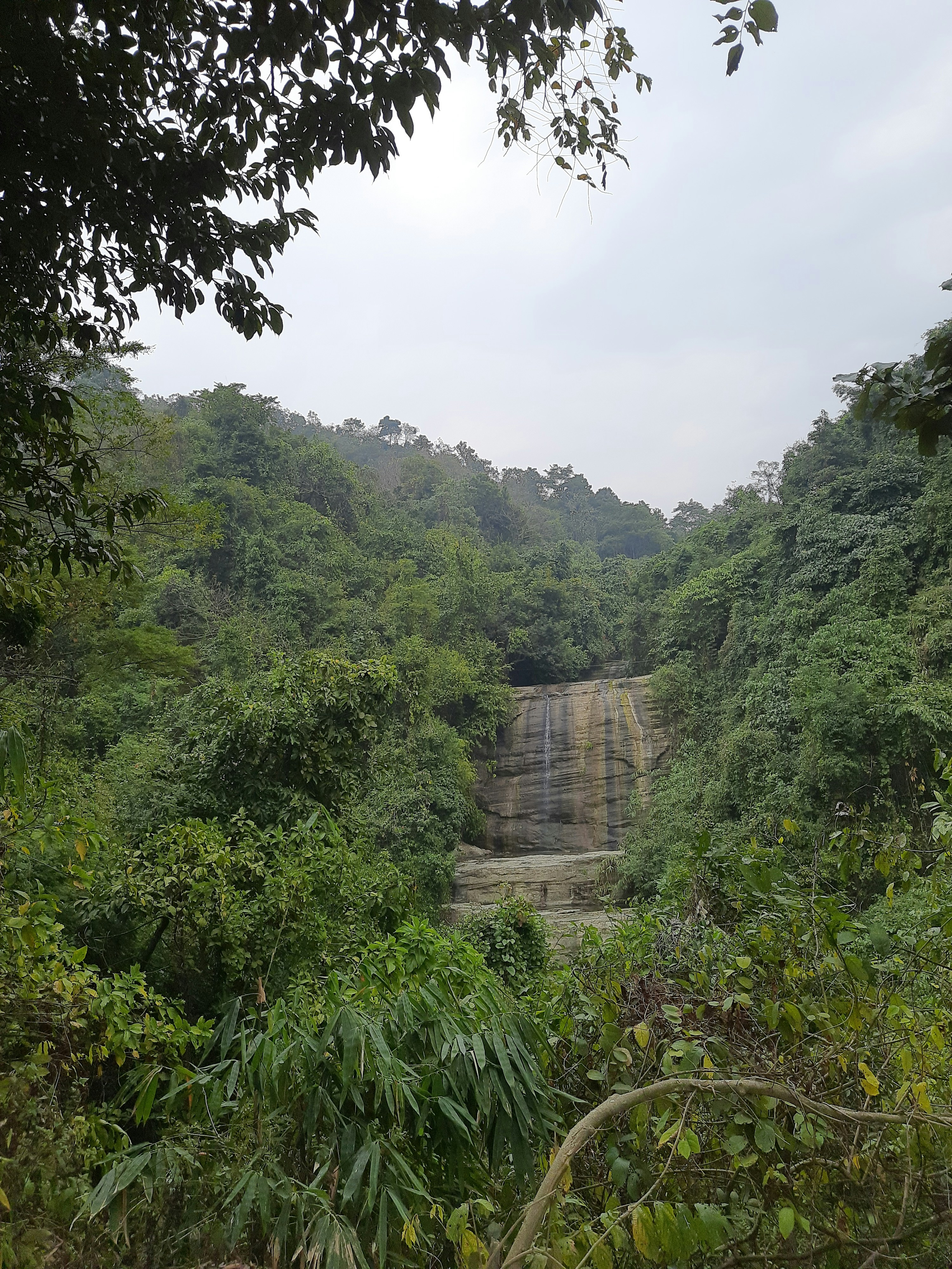 a waterfall in the middle of a lush green forest