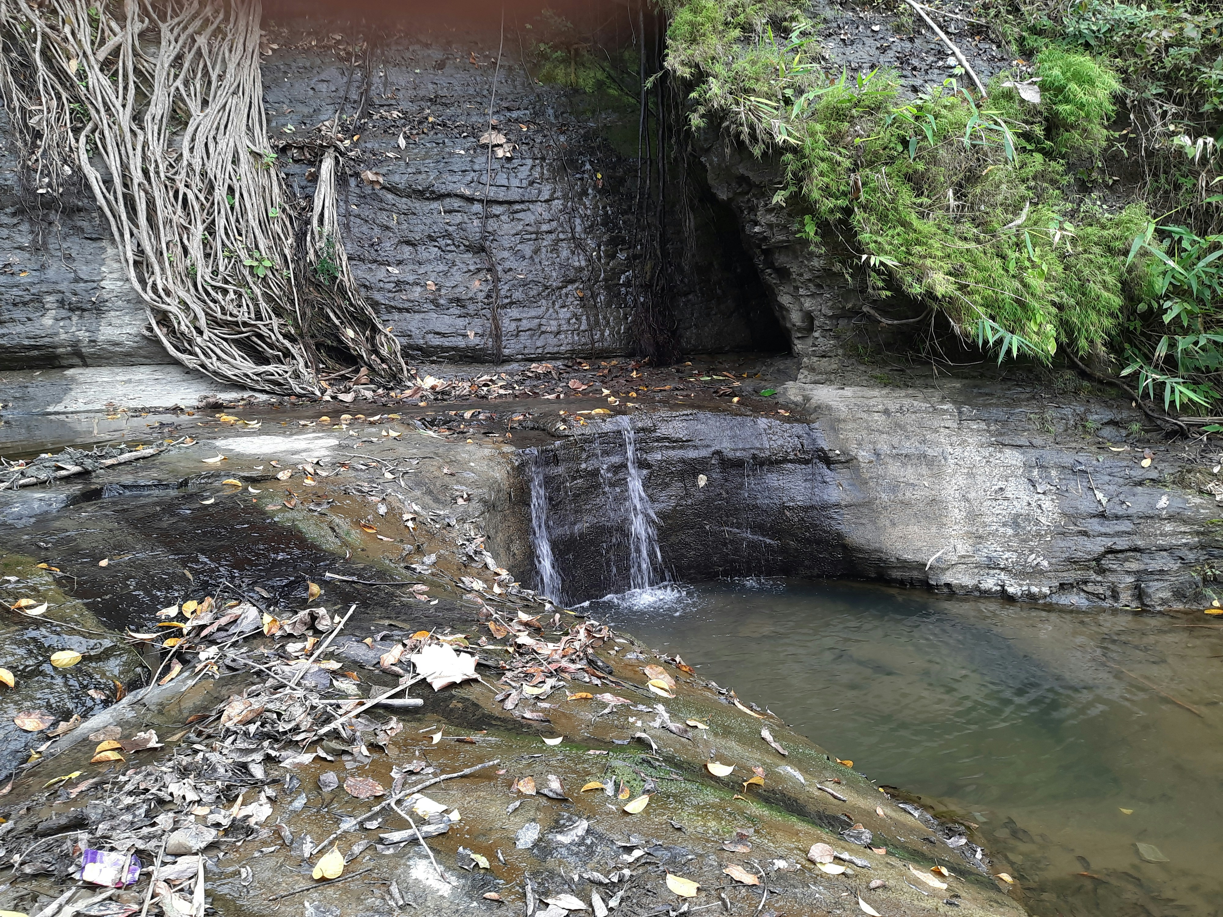 a small waterfall flowing into a pool of water