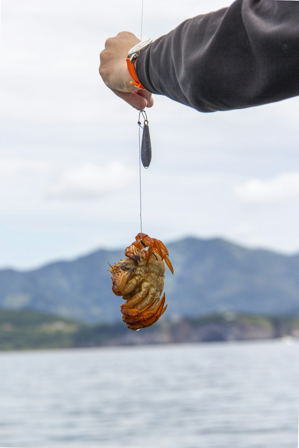 uma pessoa segurando um peixe pendurado em um anzol