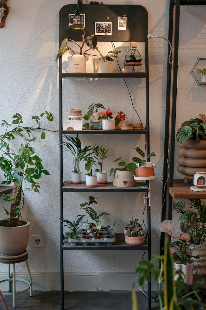Estantería metálica alta con plantas