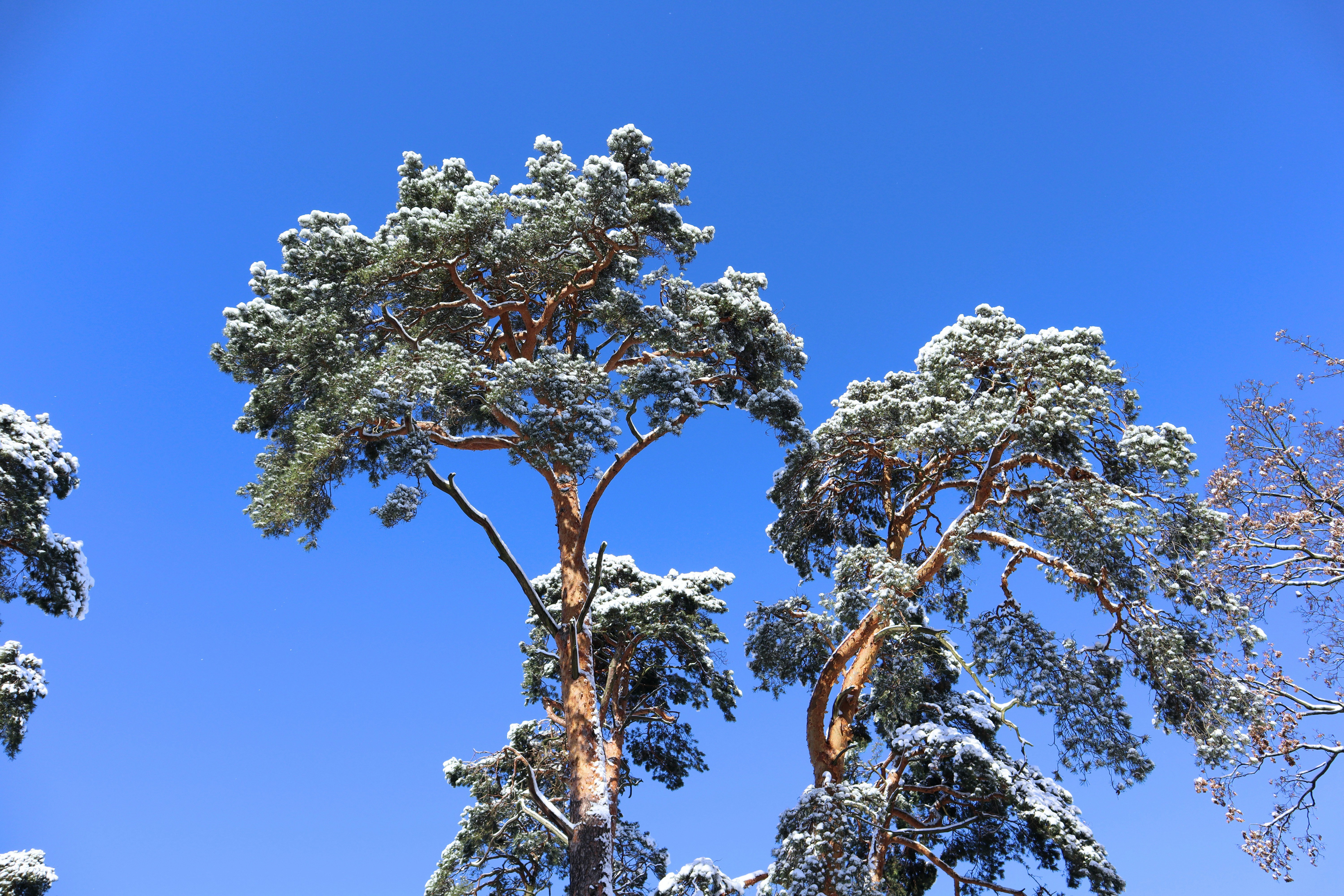 Photo by mugabo_library