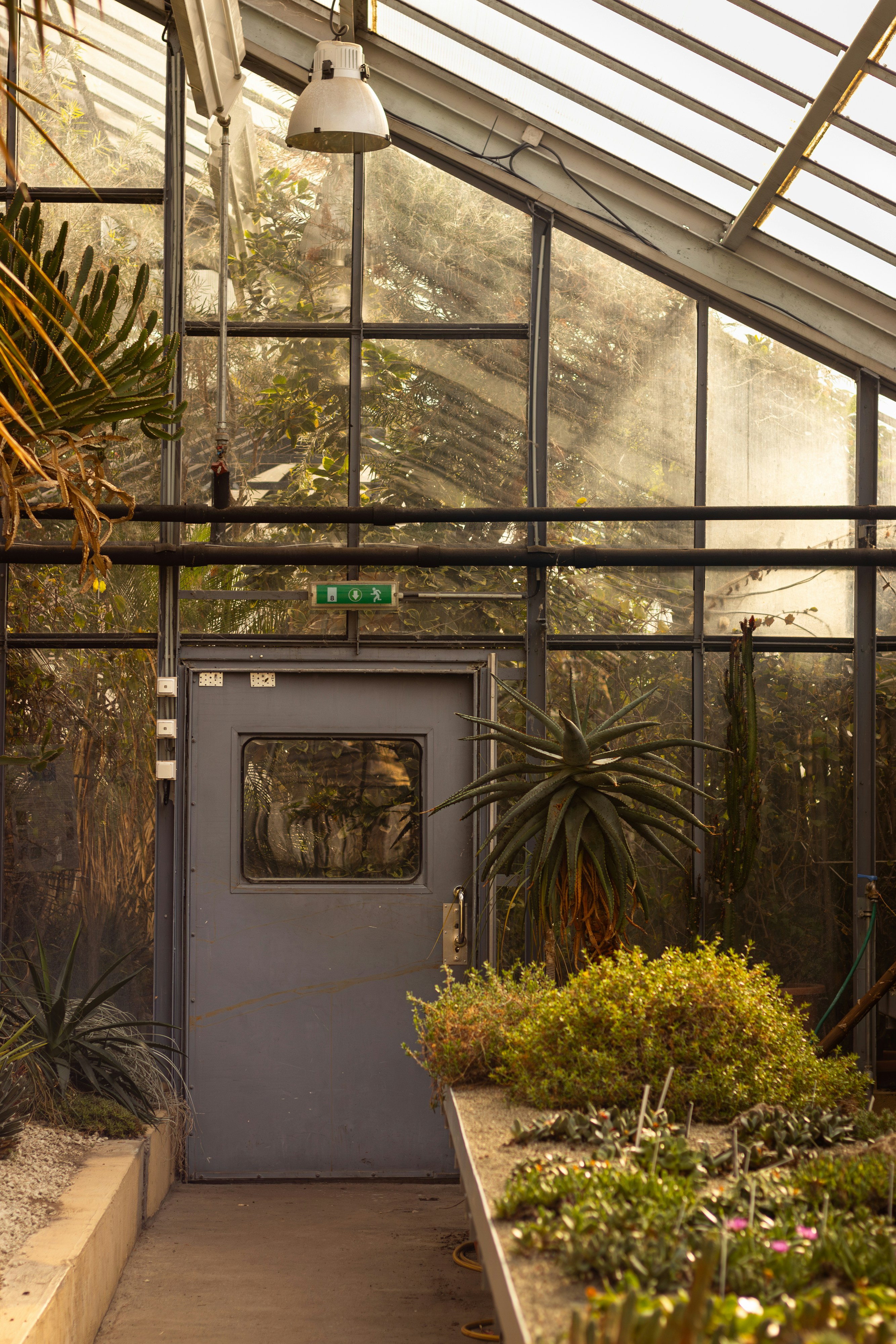 Photo by salamonbogi