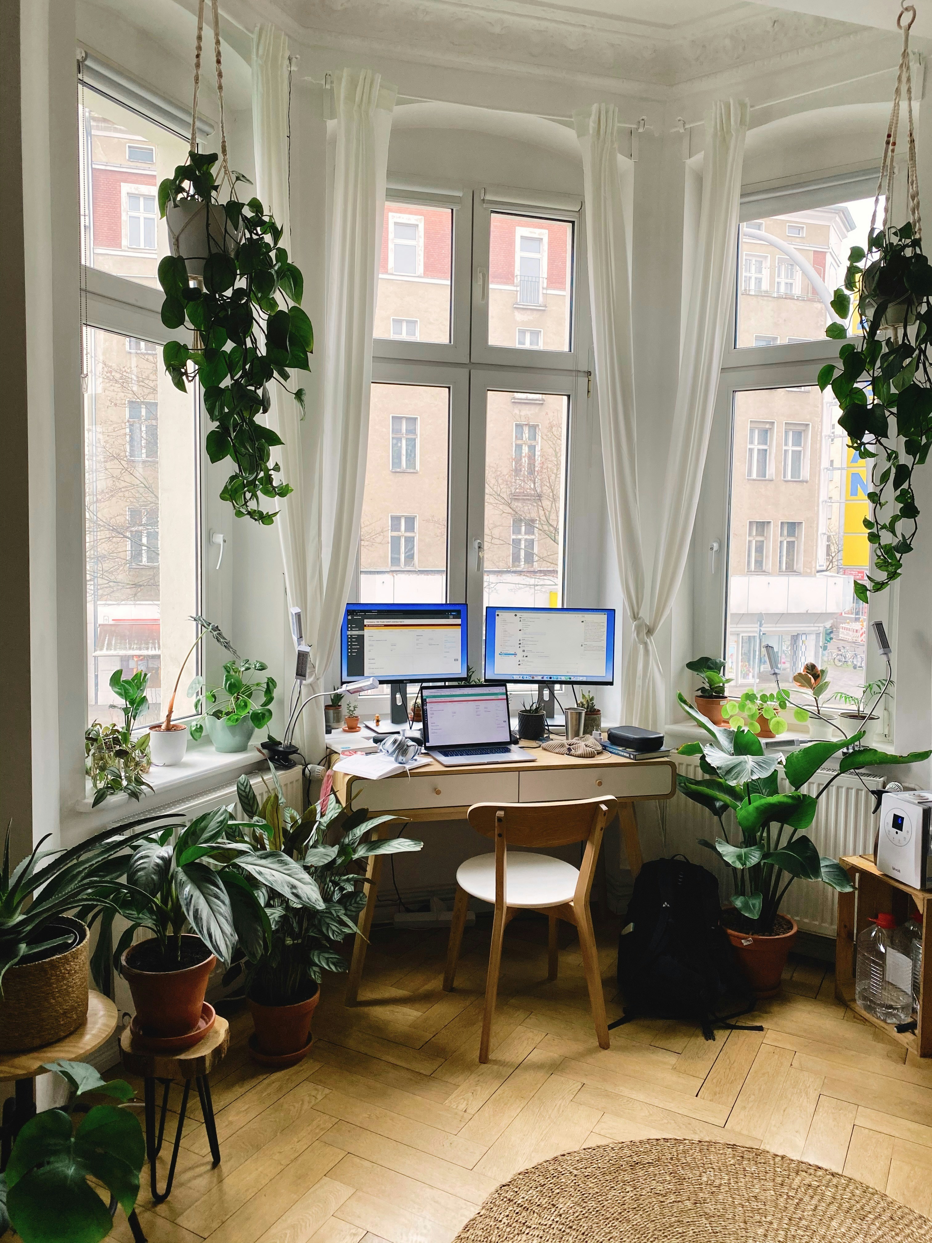 Online business owner working on laptop with multiple screens in bright home office
