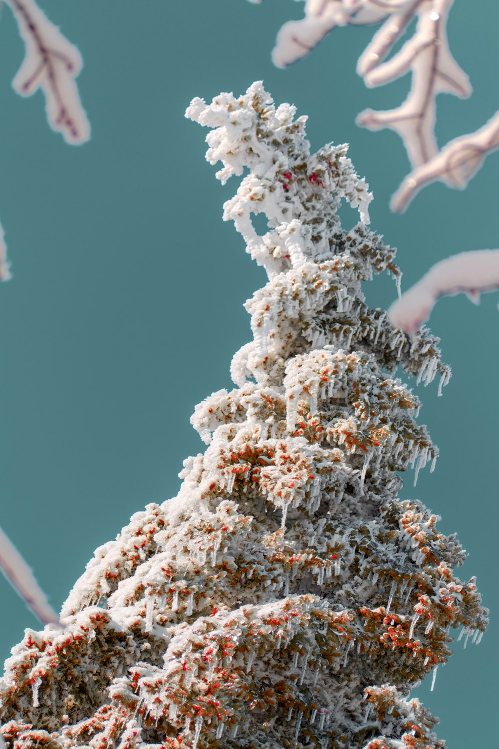 a very tall tree covered in snow under a blue sky