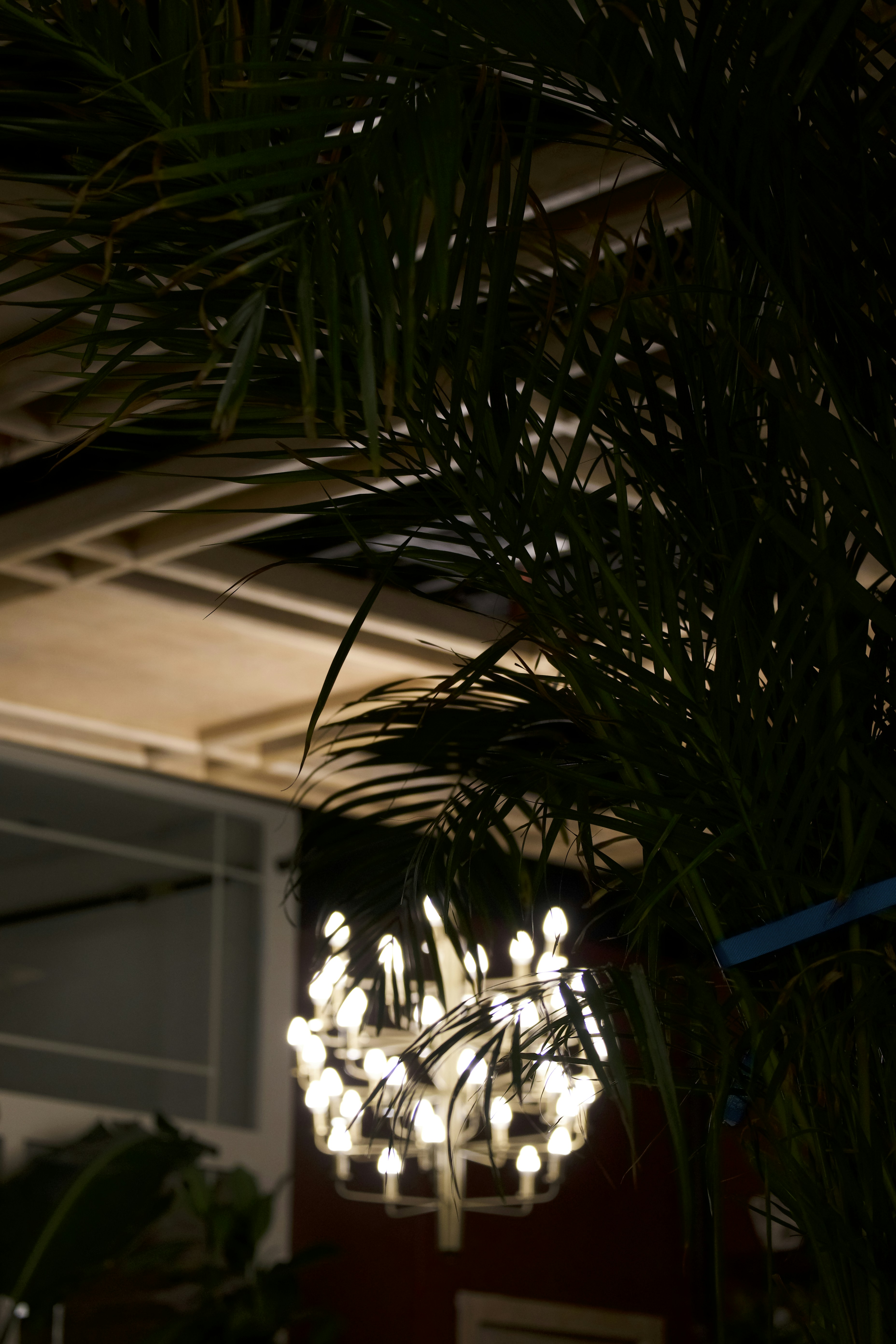 Photo by aminzabardast