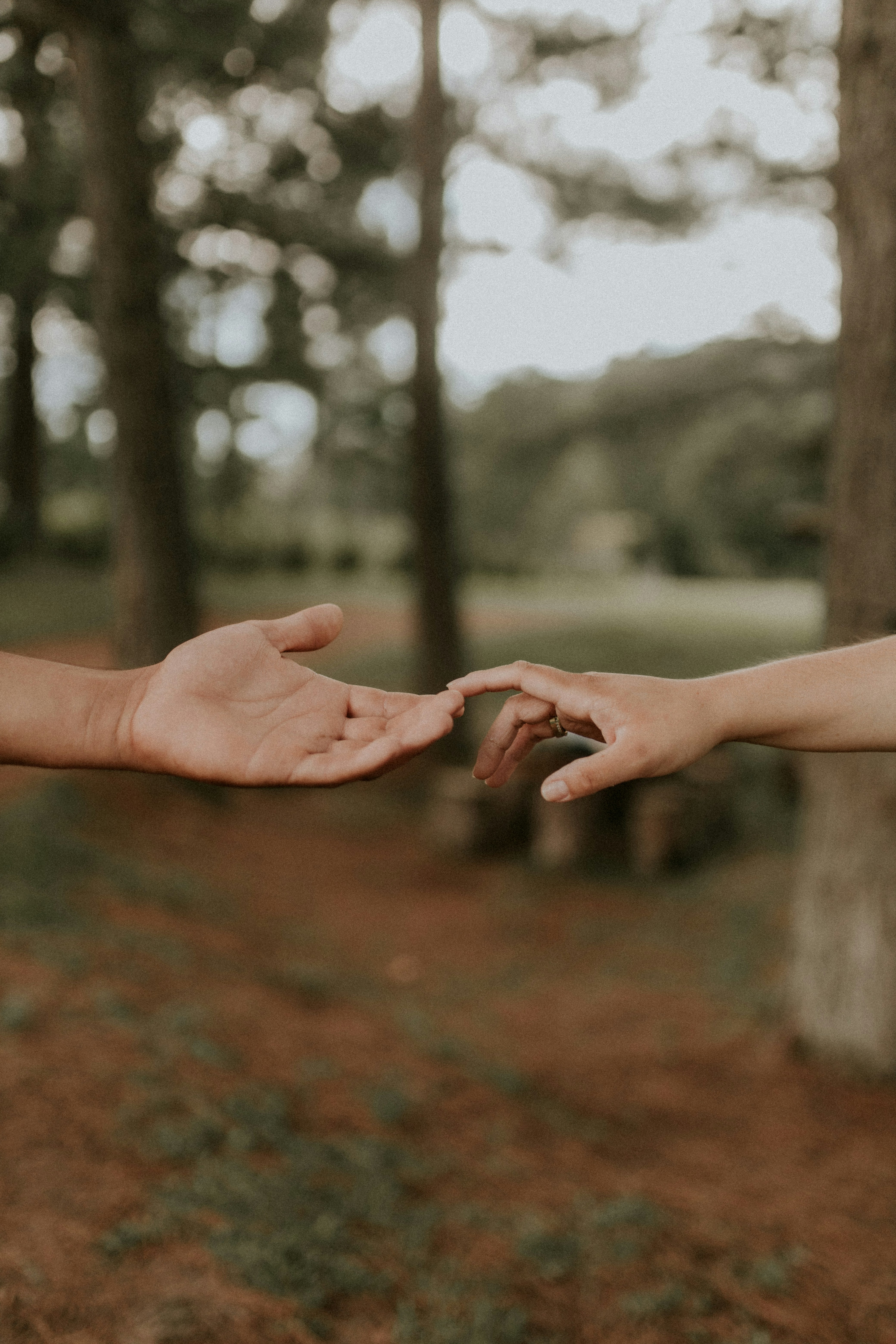 Two people reaching out to each other