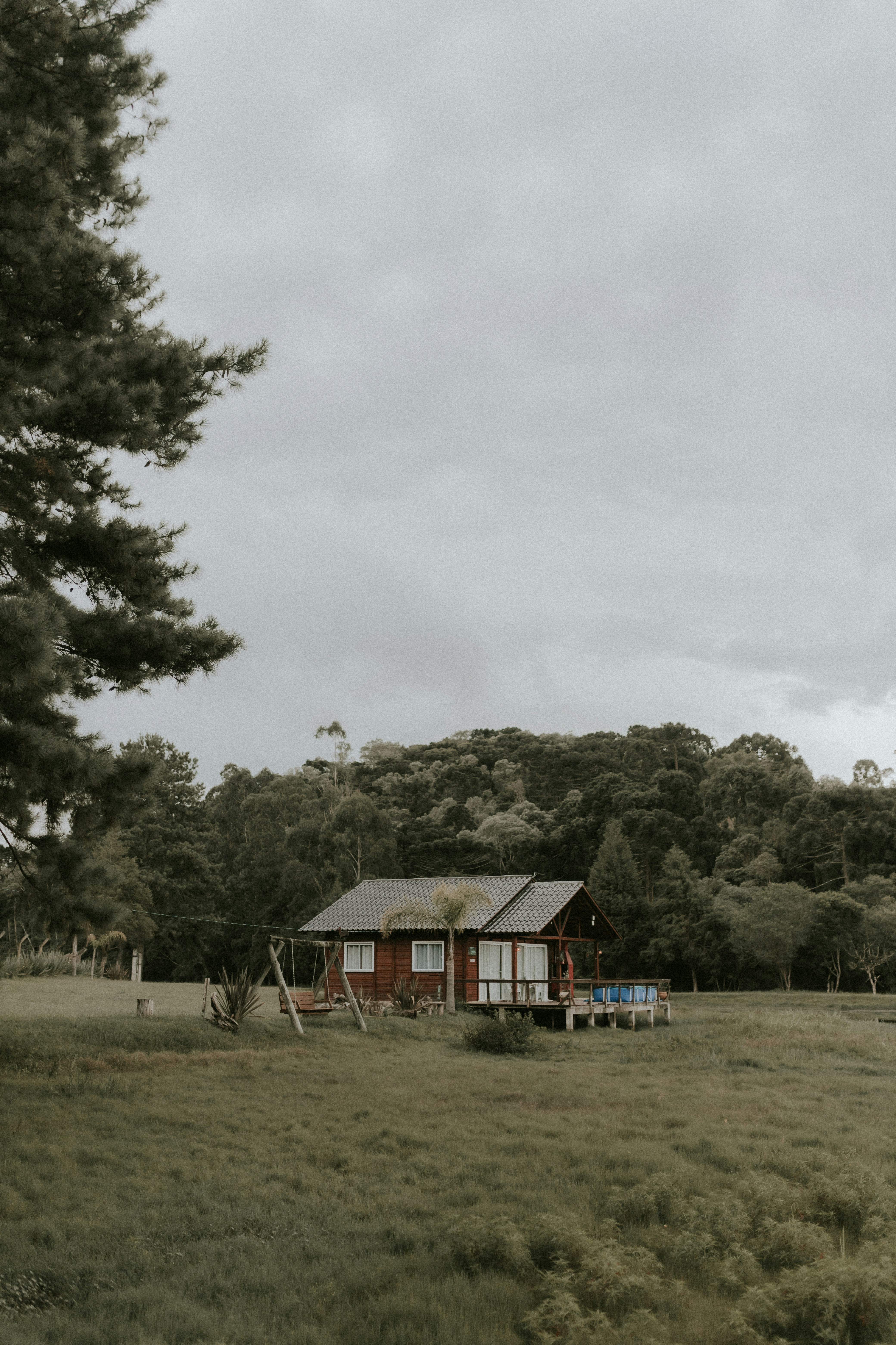 Photo by alexandermassph