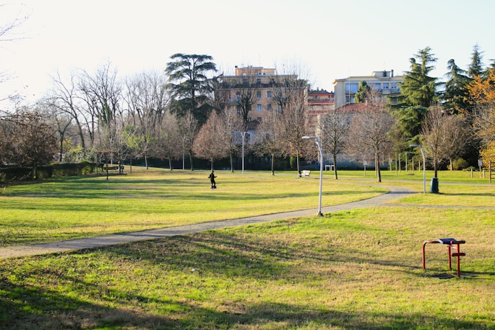 Bellarmine University