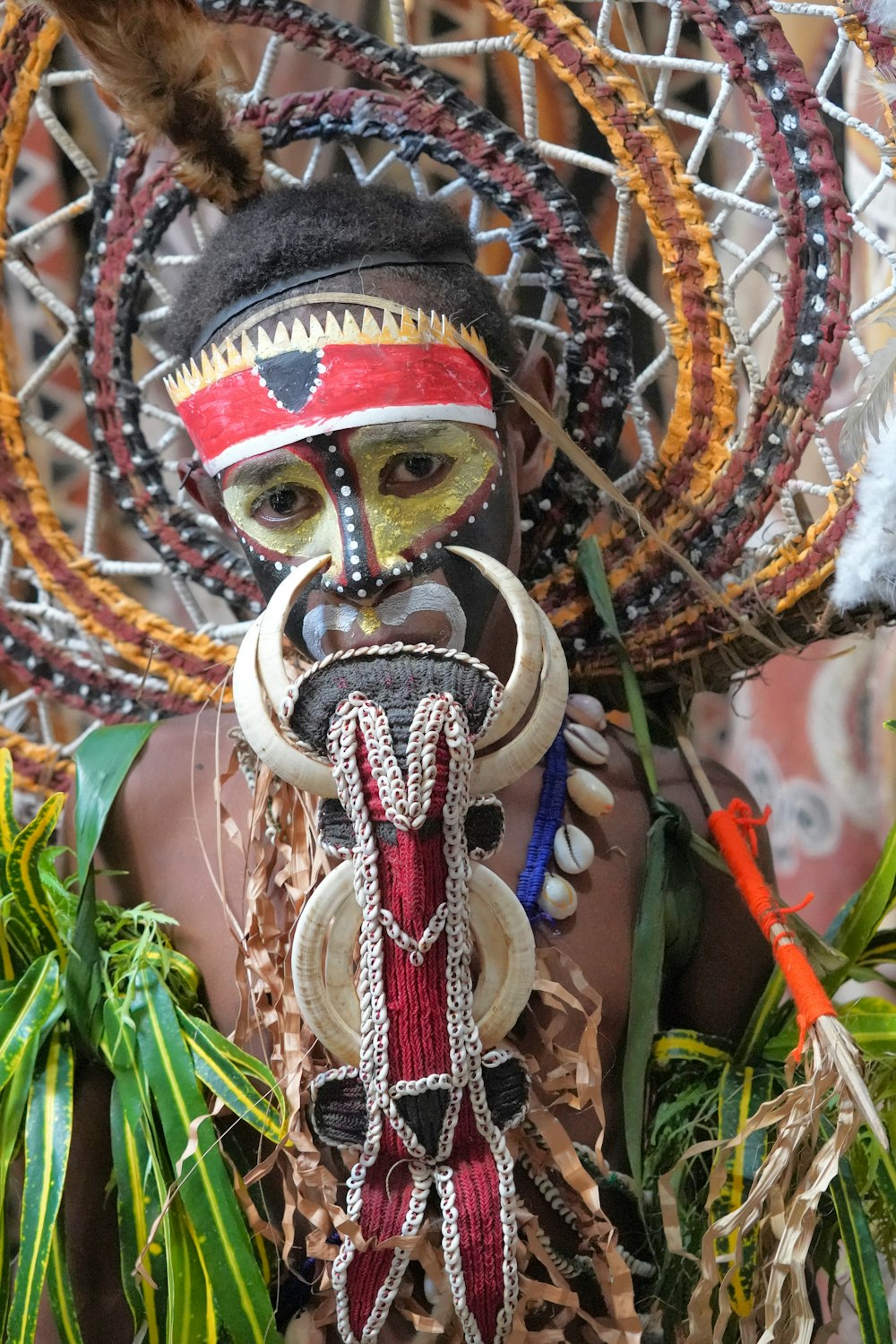 a man in a costume with feathers on his head
