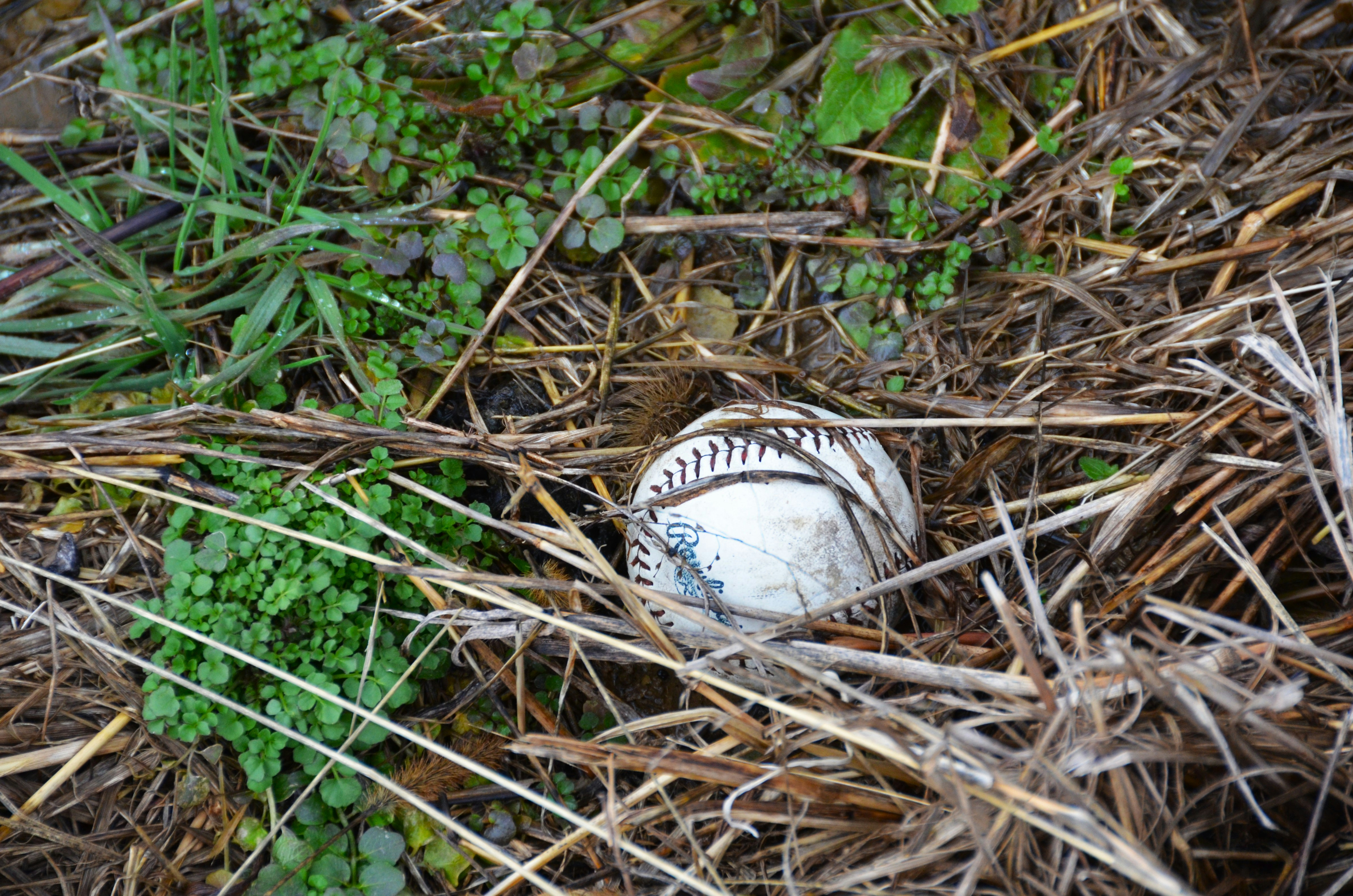 골프 장갑Golf Gloves