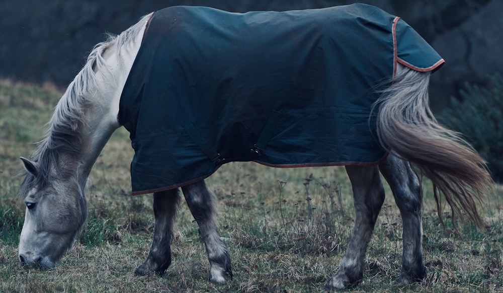 a horse wearing a blanket grazing in a field
