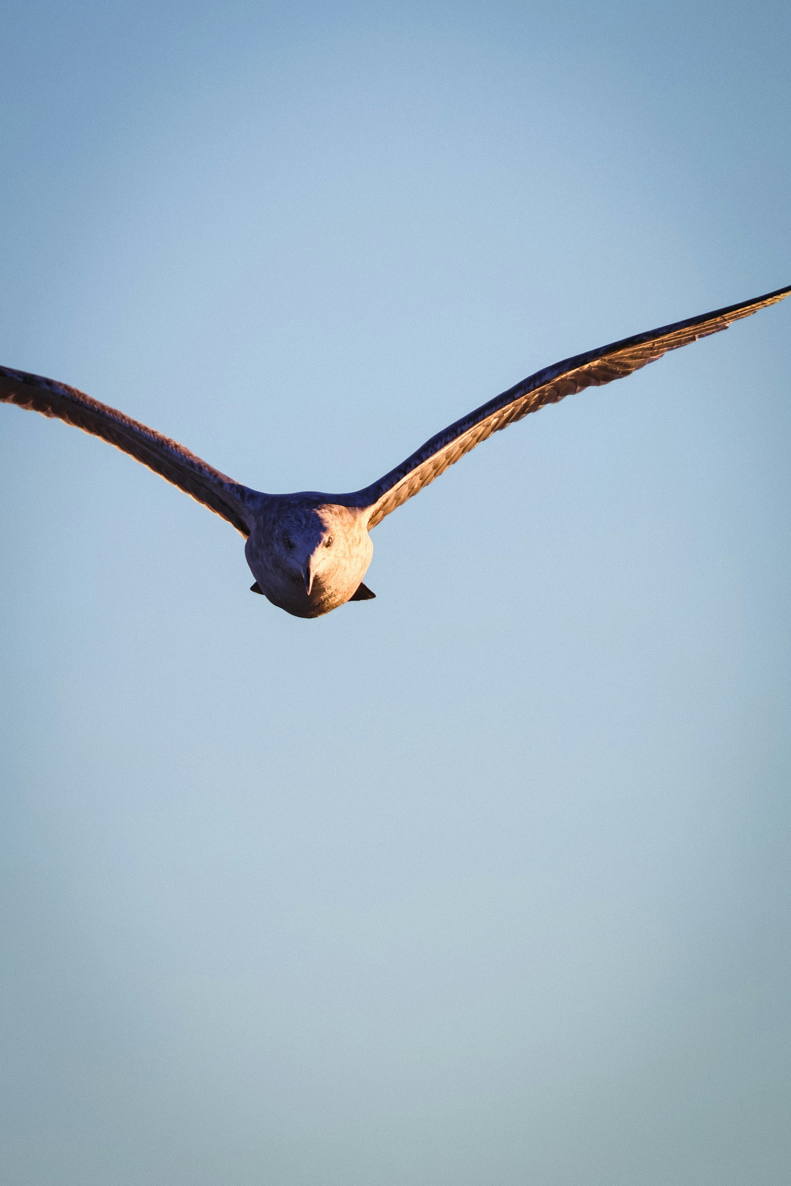 Photo by ashjcoronado