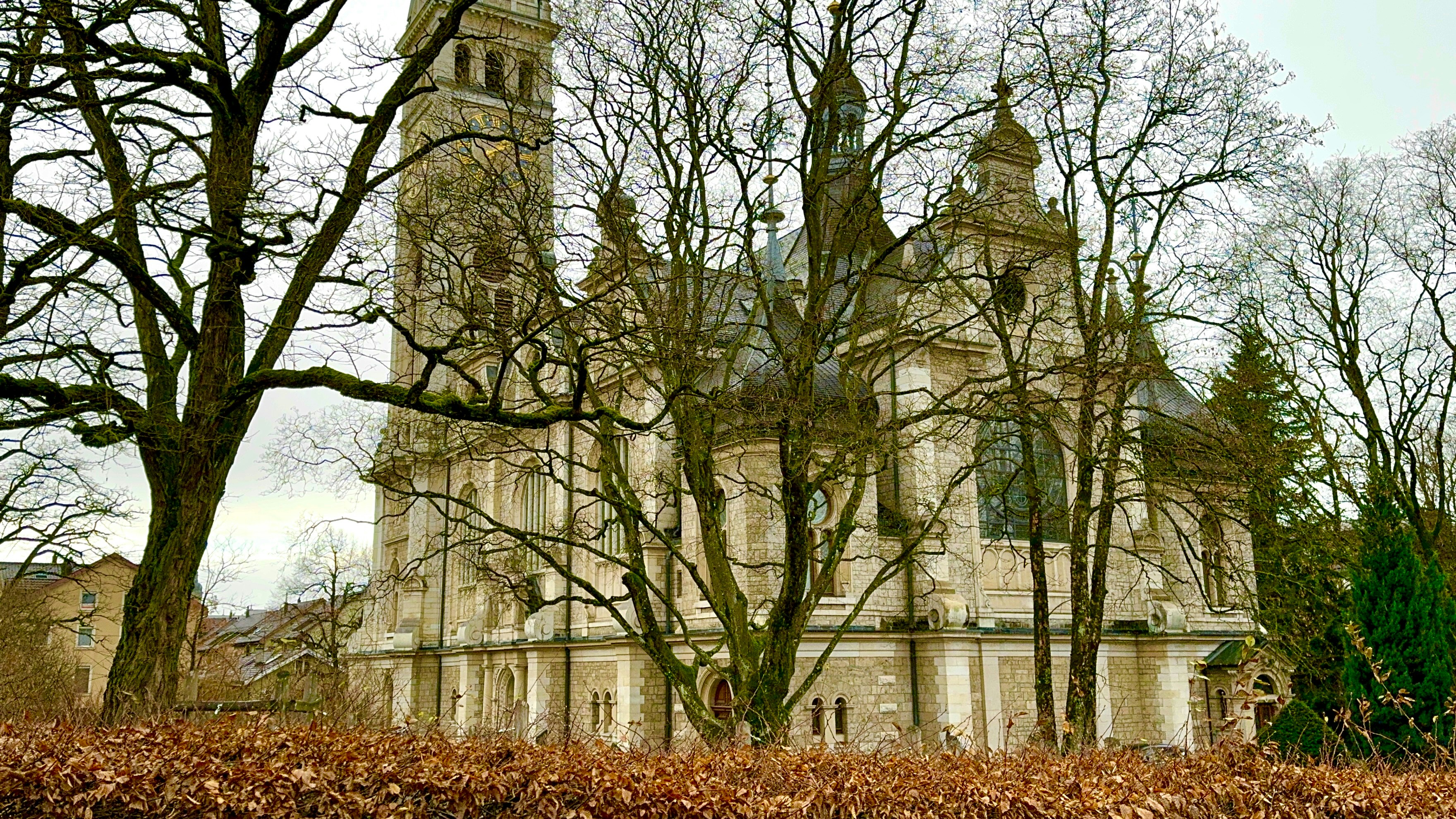 Photo by tenekephotos