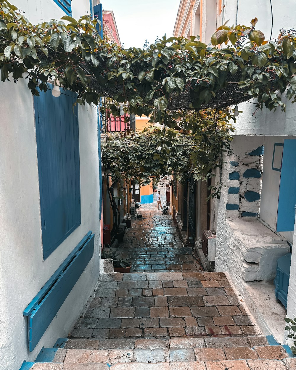 a cobblestone street with a blue door and window