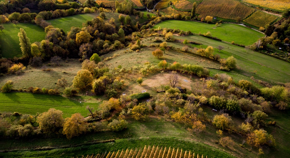 an aerial view of a lush green countryside