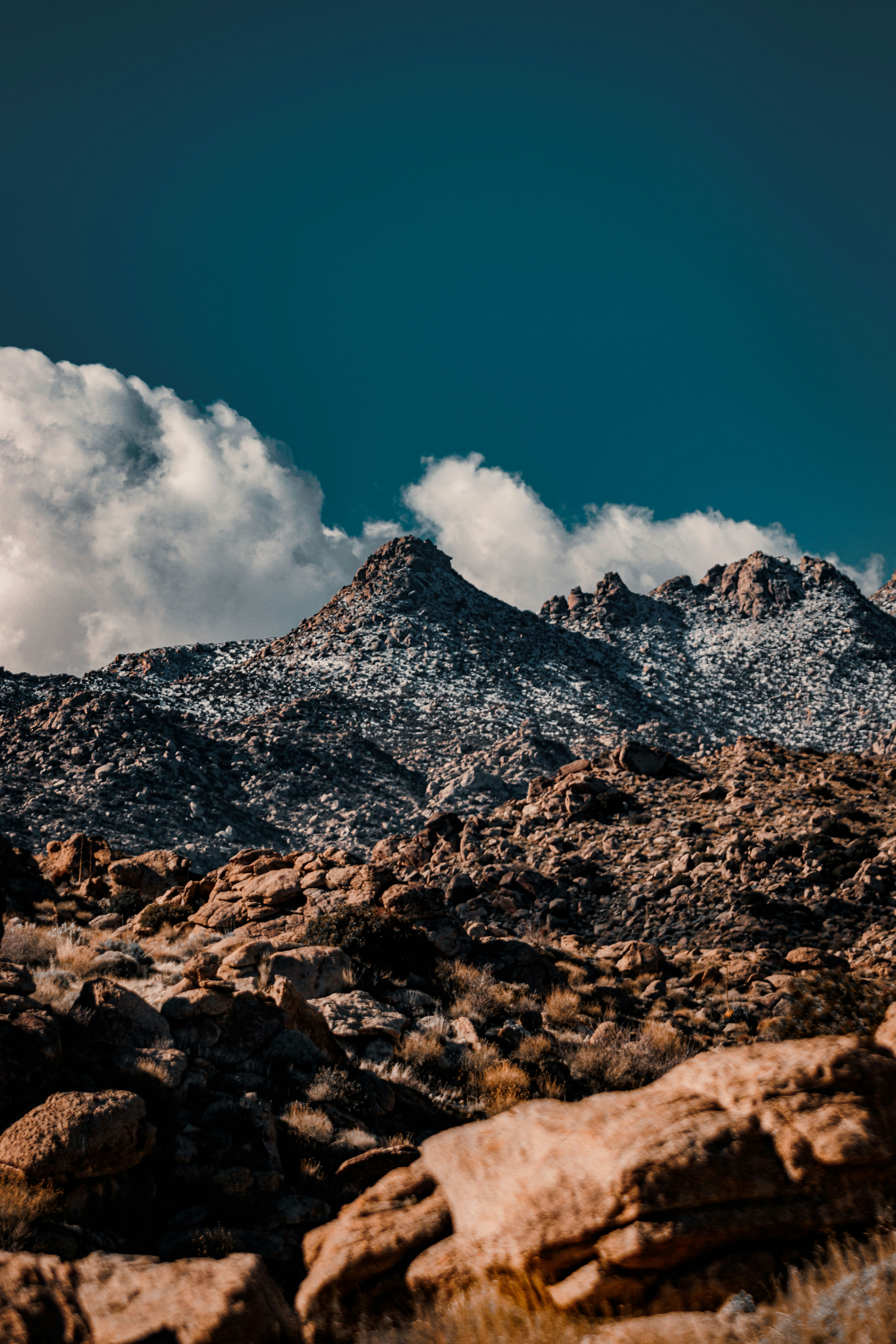 Photo by parkerdesignsss