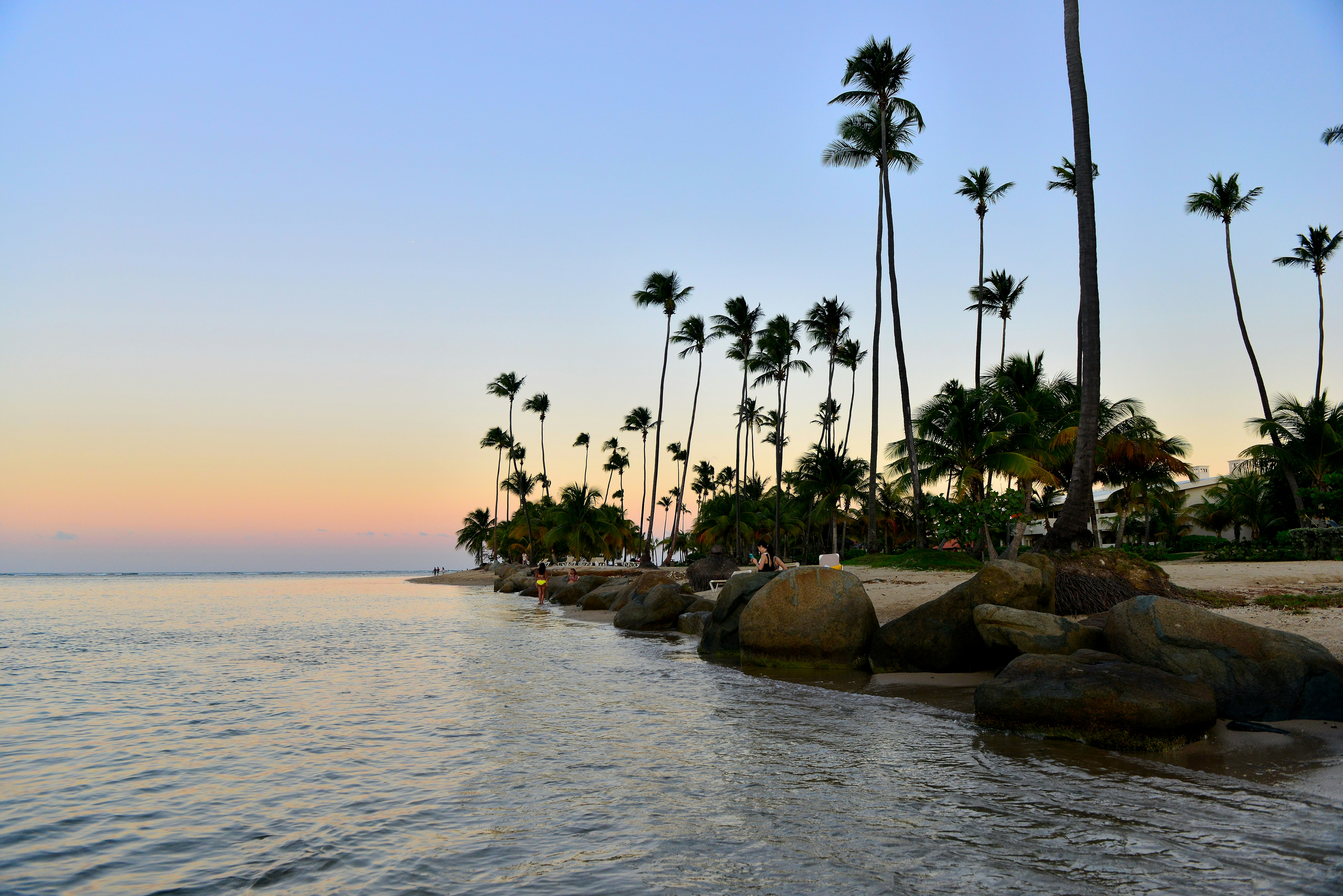 Las palmeras bordean la costa de una playa tropical