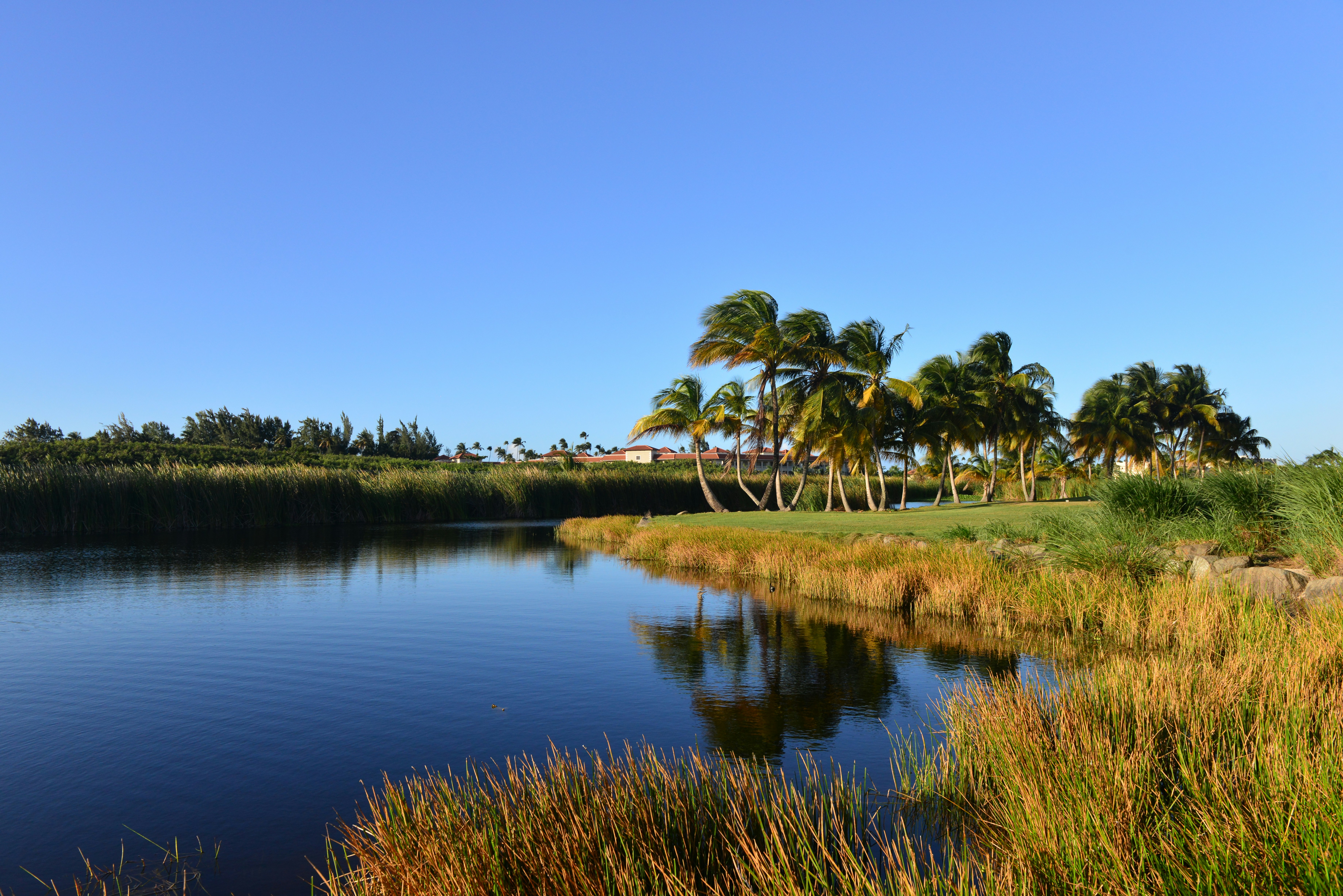 Photo by longmaspirit