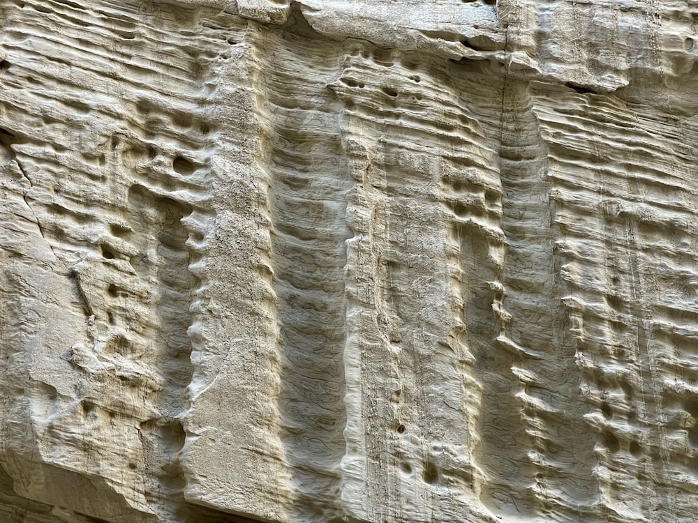 a close up of a rock face with a bird perched on top of it