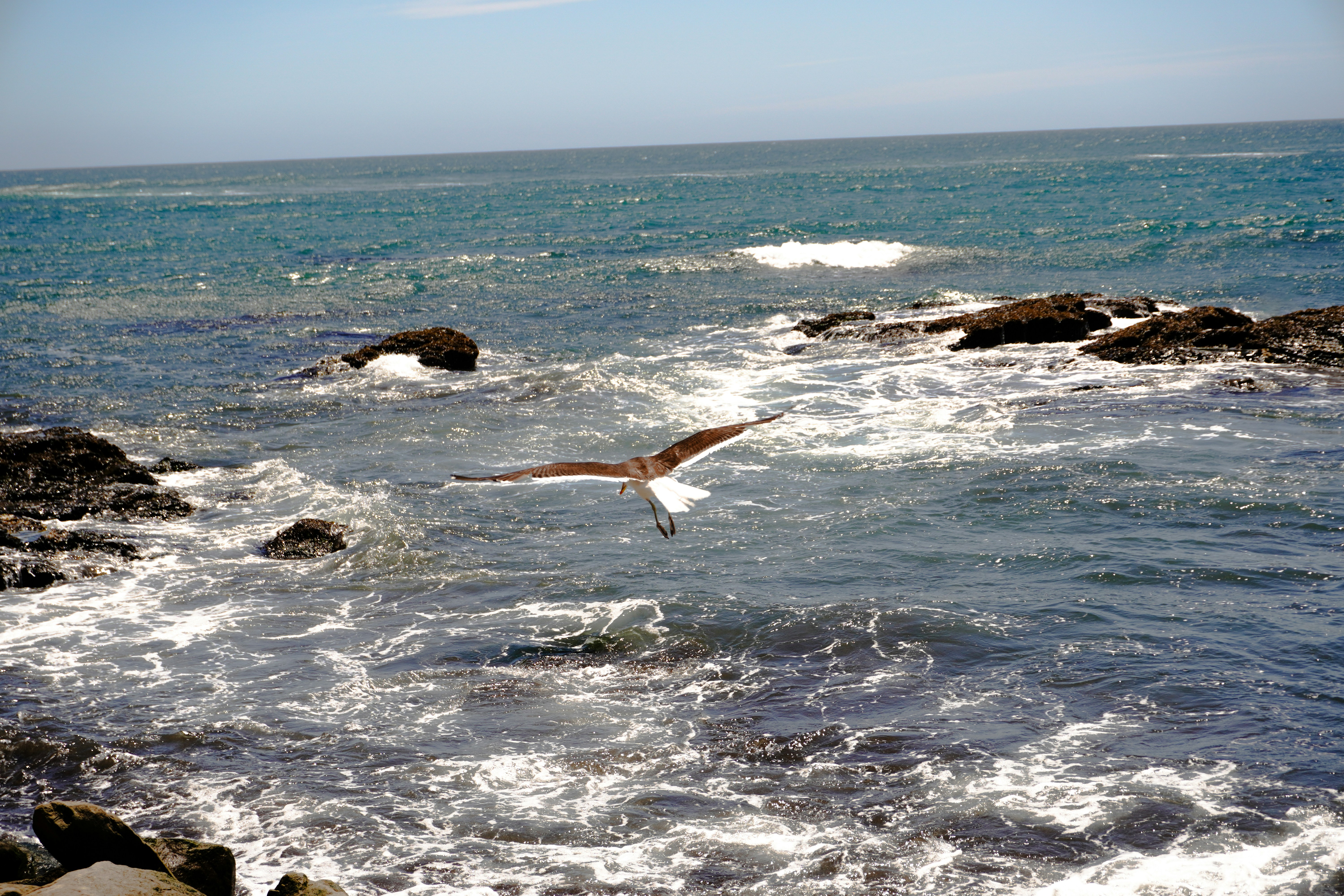 Photo by andreazacarias