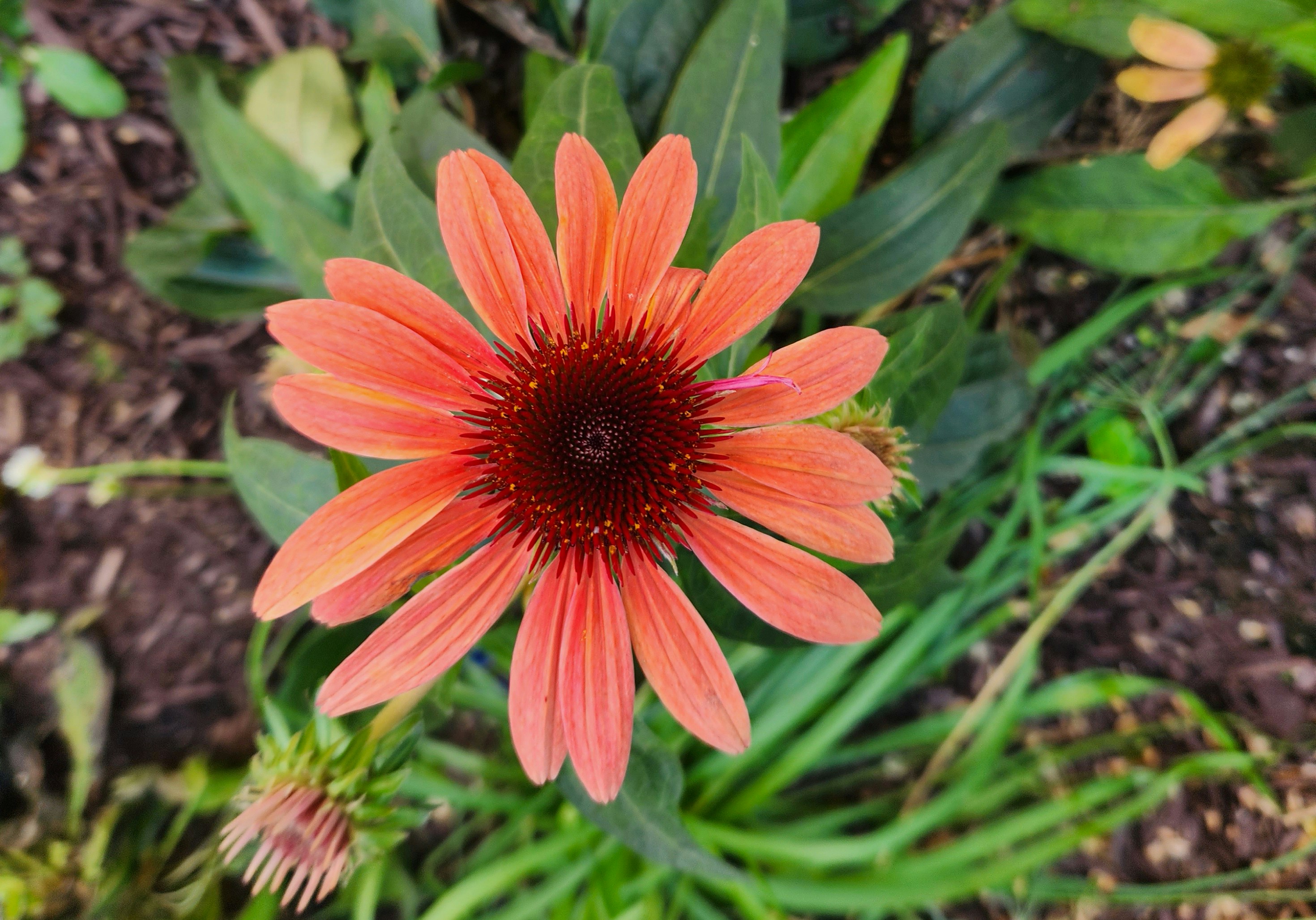 Photo by zoshuacolah