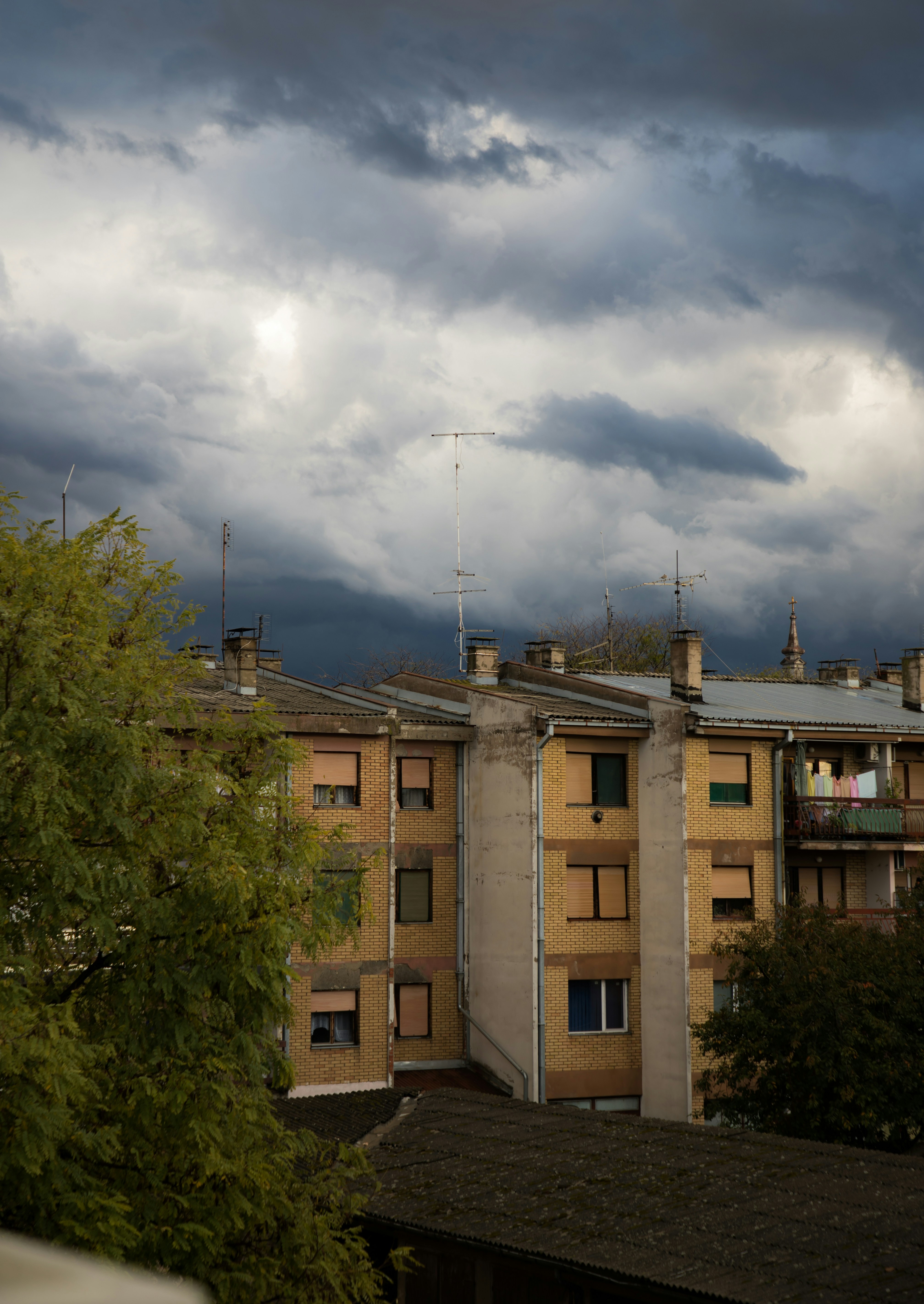 Photo by jovanvasiljevic
