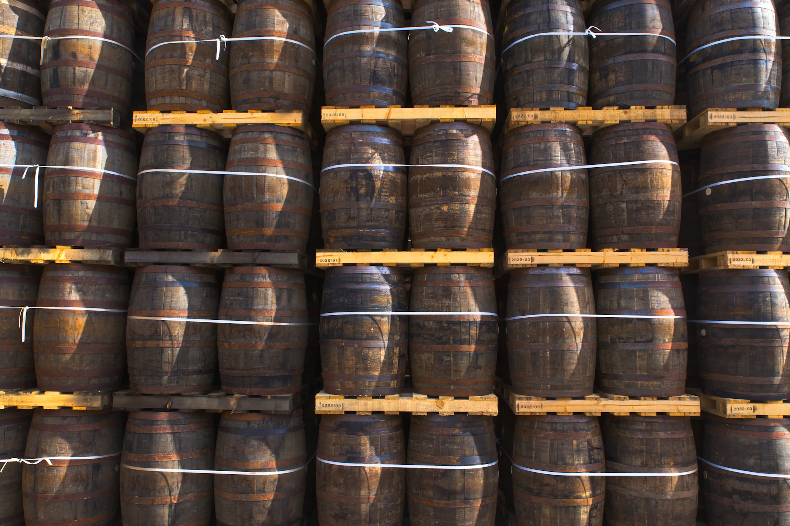 Rows of dark wooden spirit barrels stacked and banded, resting in the Halloway & Sons rick house