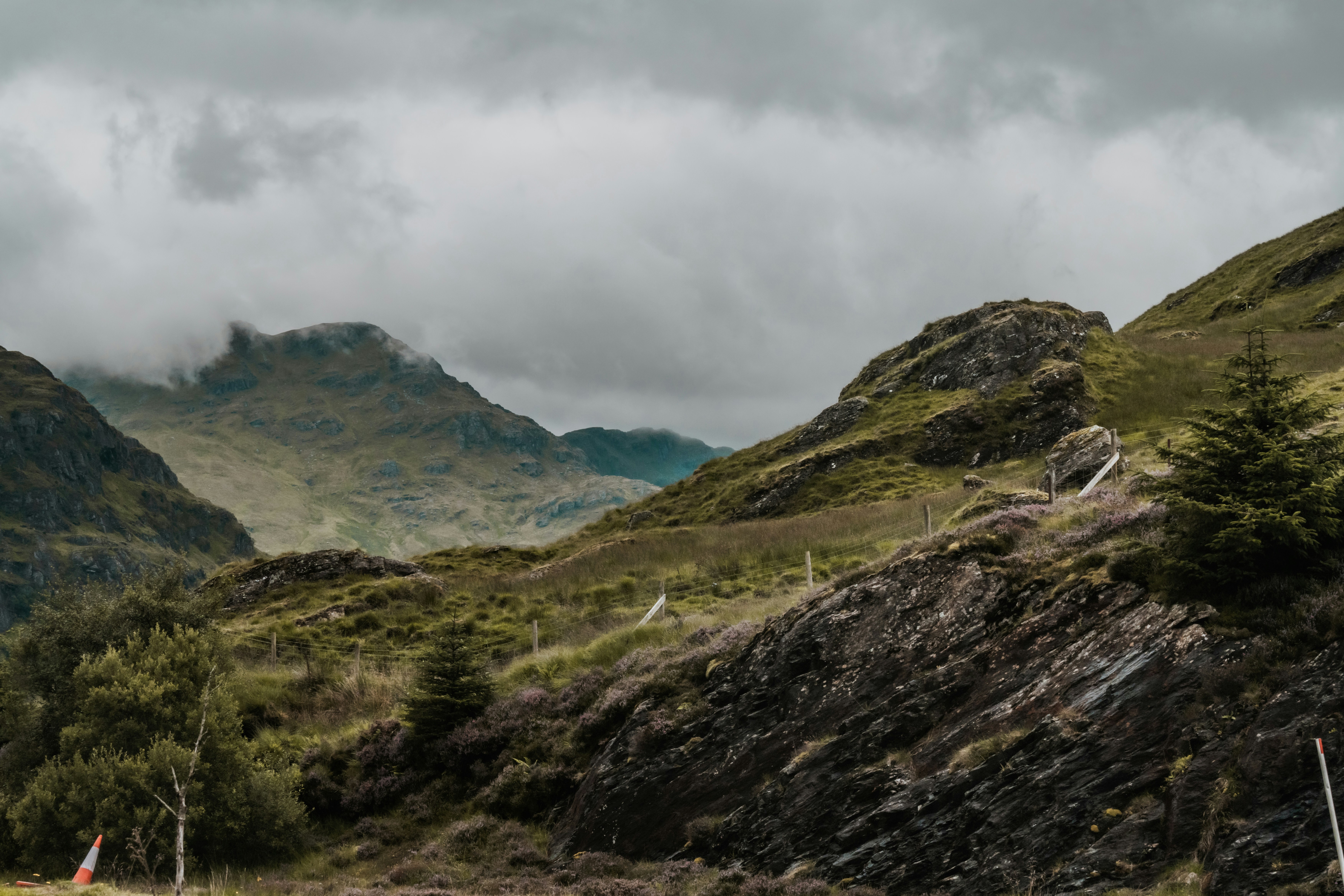 Photo by winstontjia