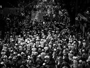 a large group of people walking down a street