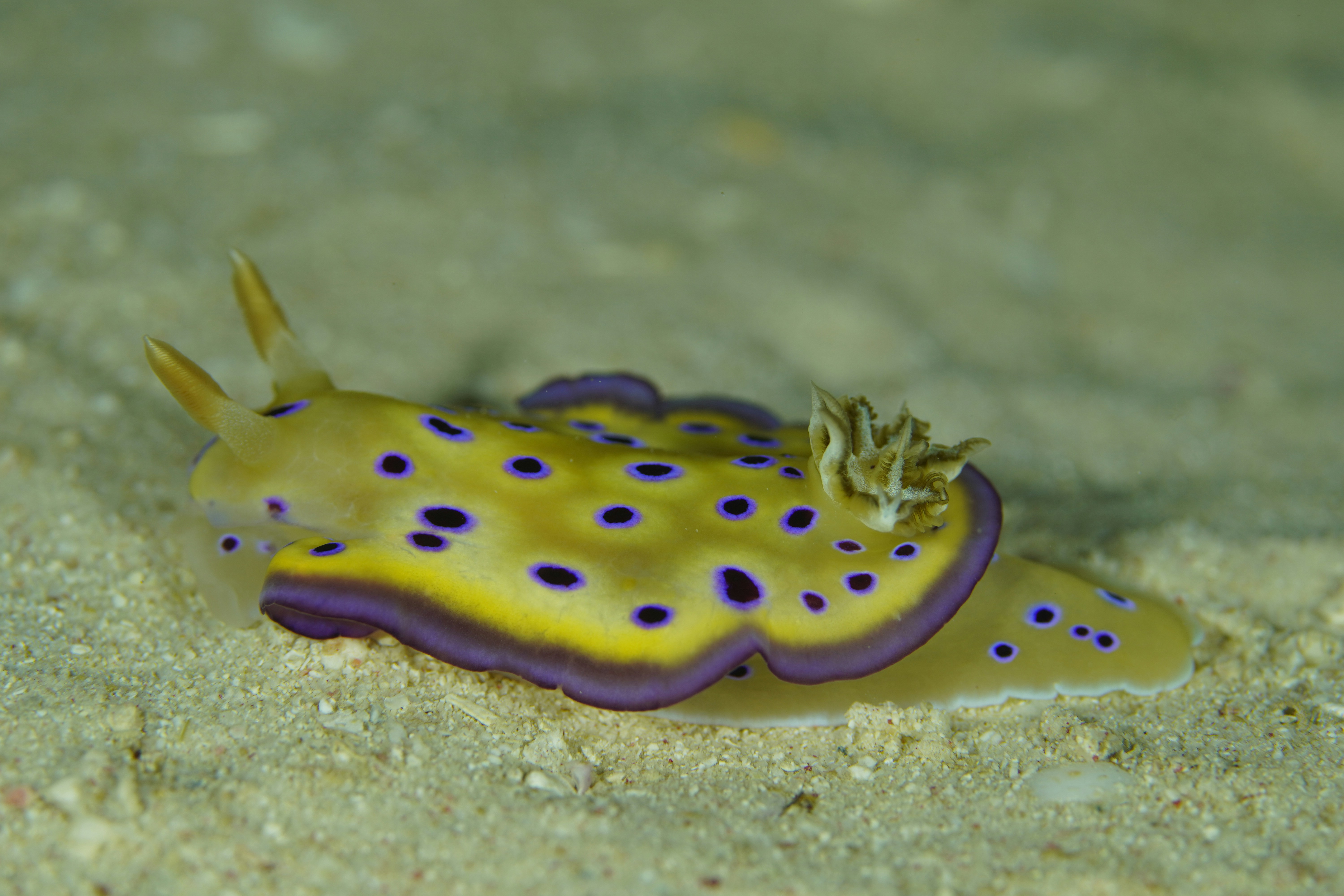 Photo by nothingtoseehere1492