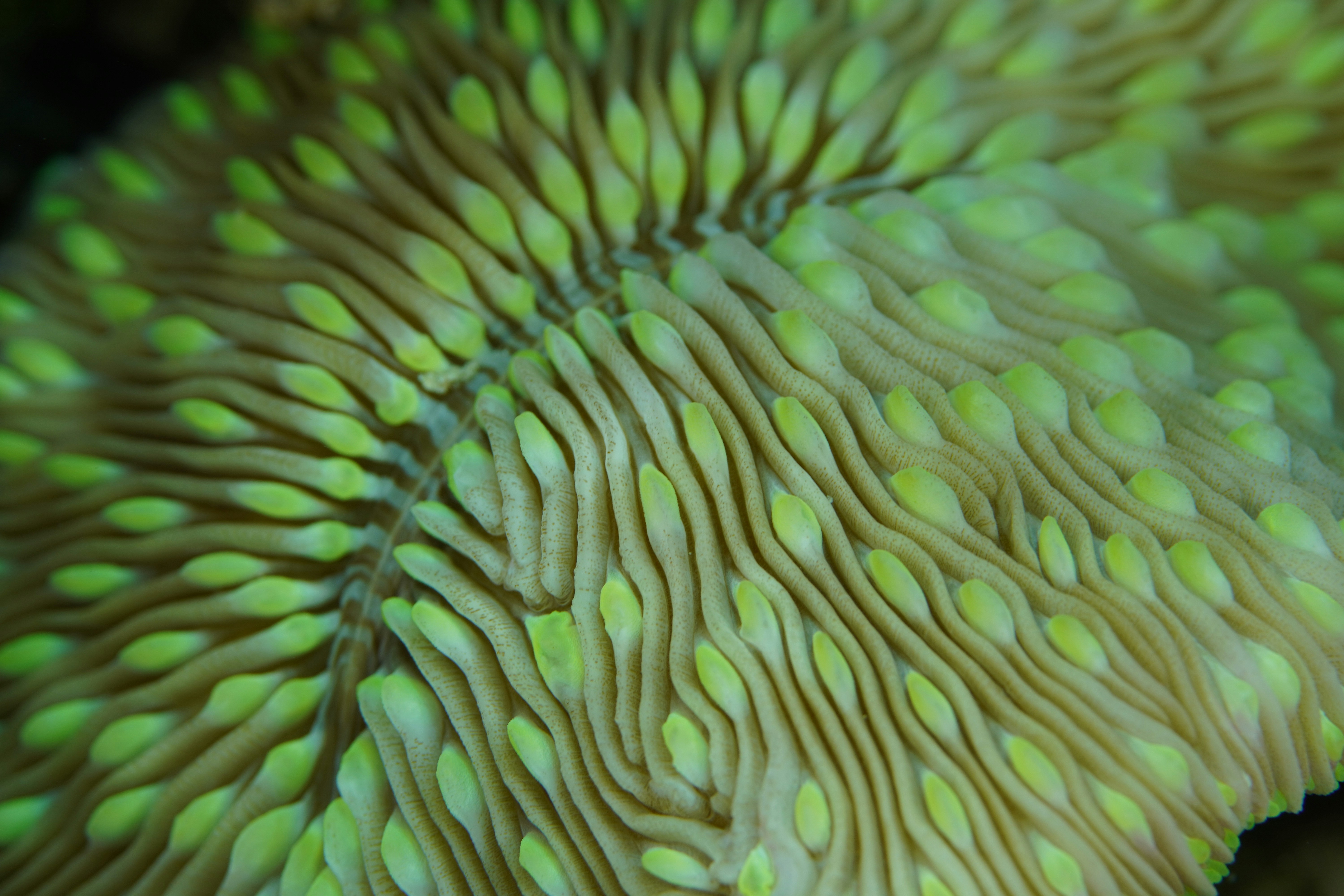 Photo by nothingtoseehere1492