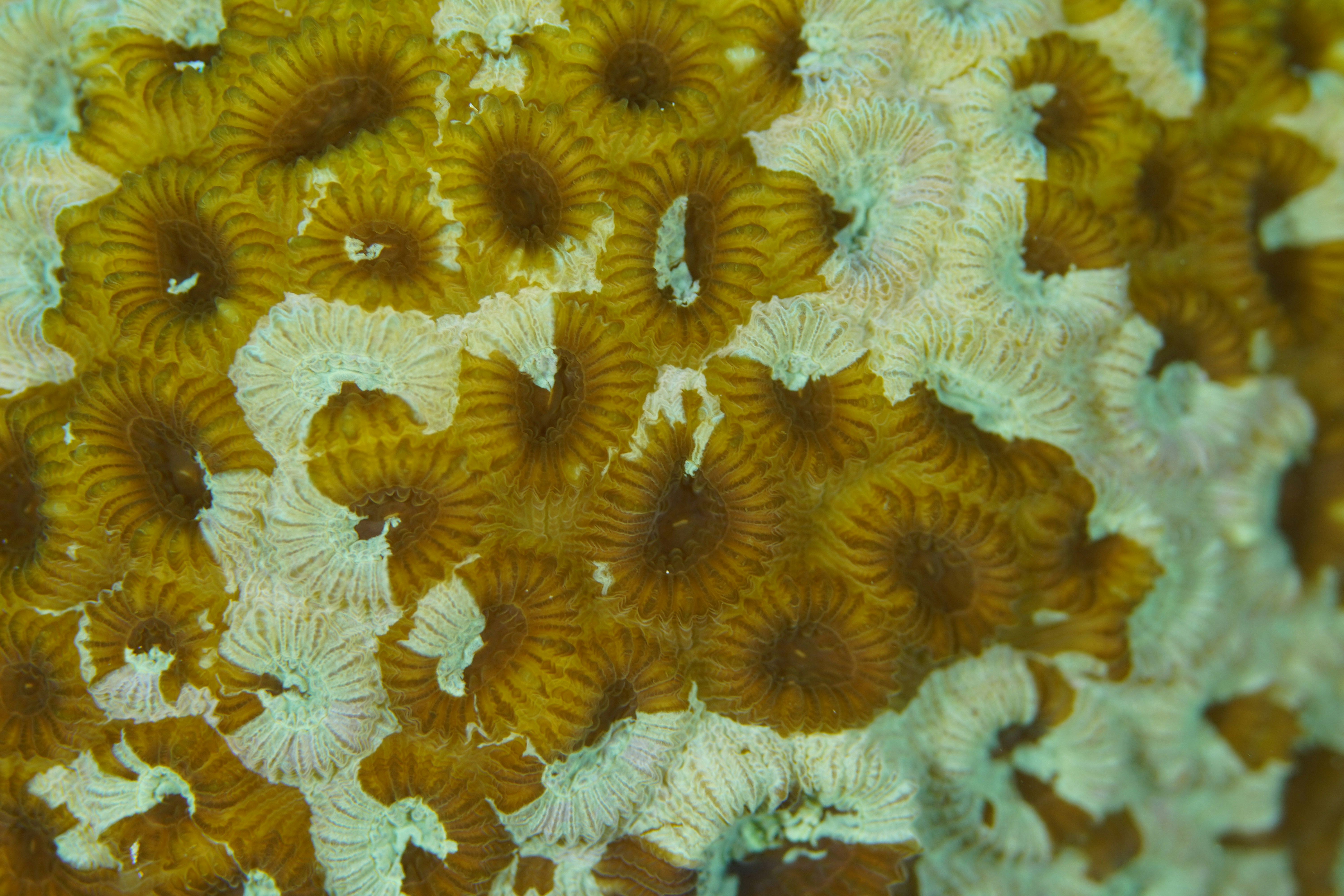 Photo by nothingtoseehere1492