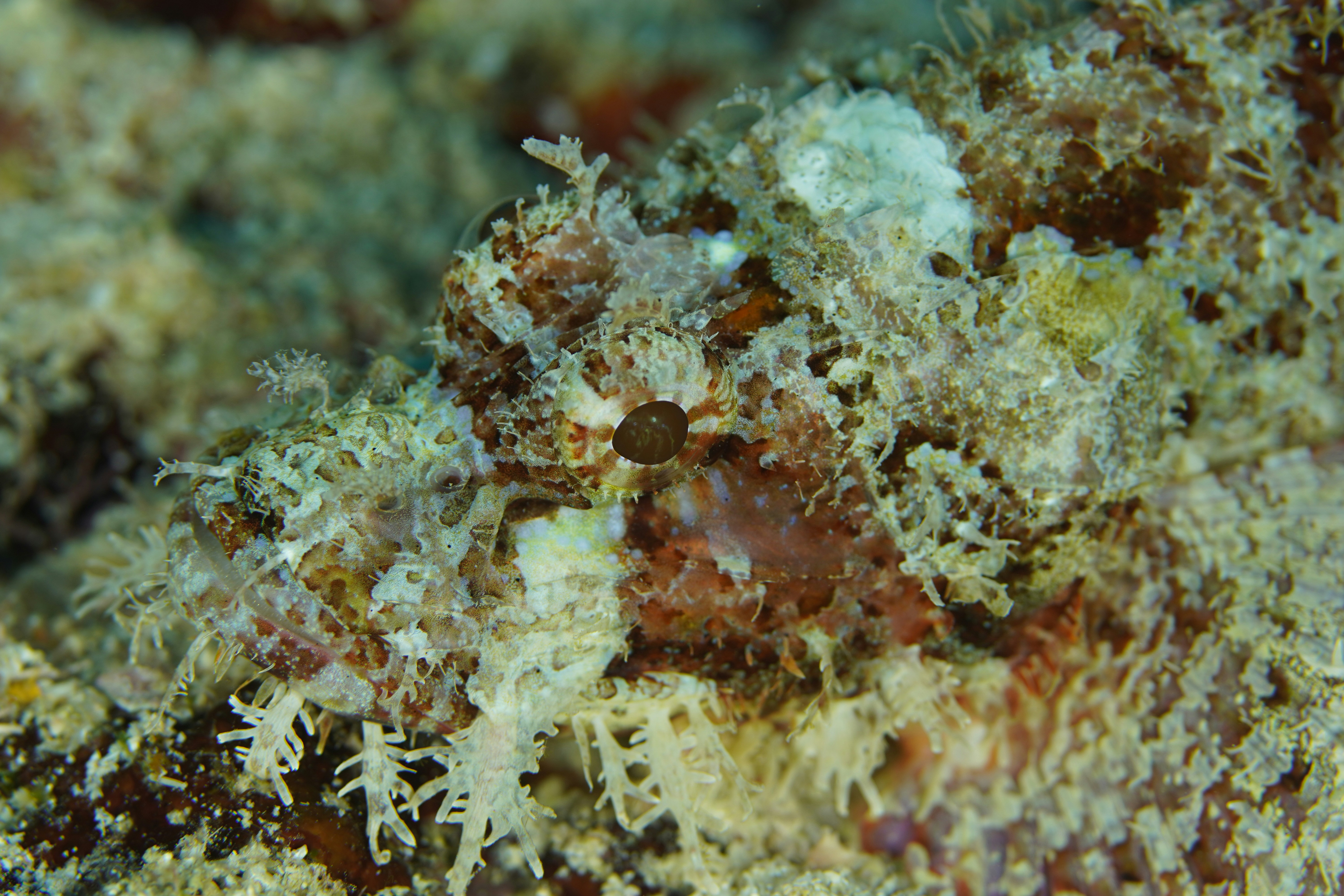 Photo by nothingtoseehere1492