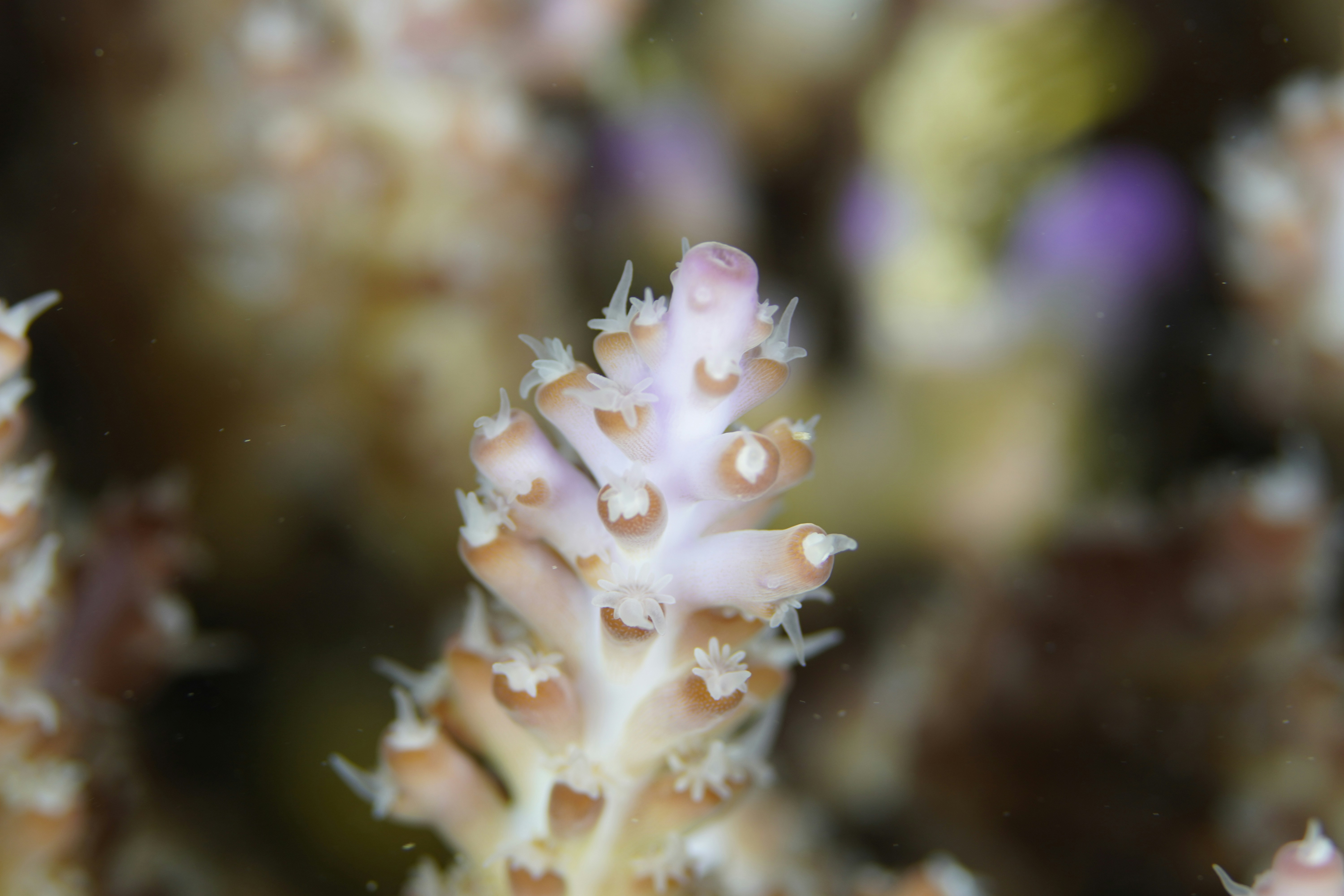 Photo by nothingtoseehere1492