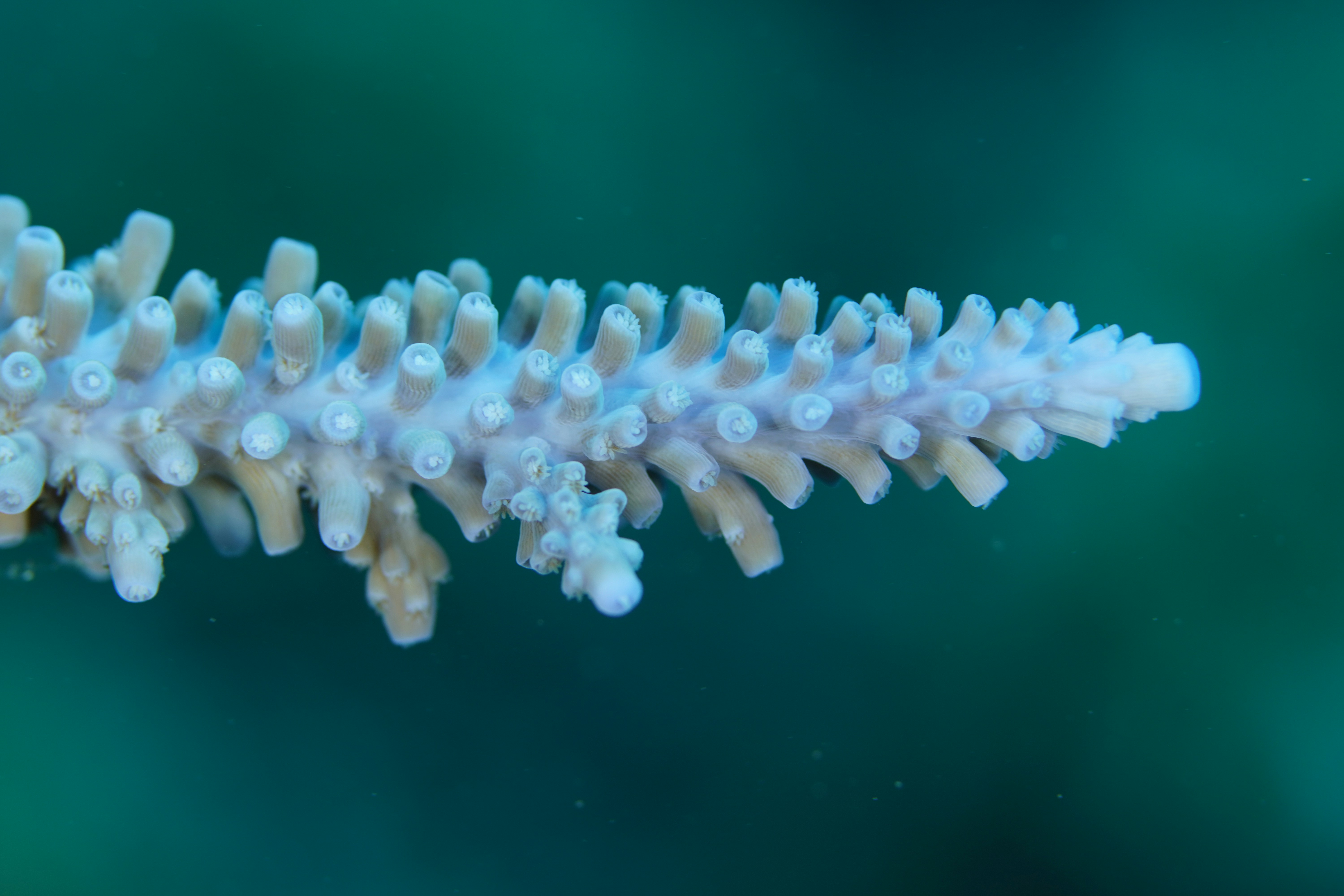 Photo by nothingtoseehere1492