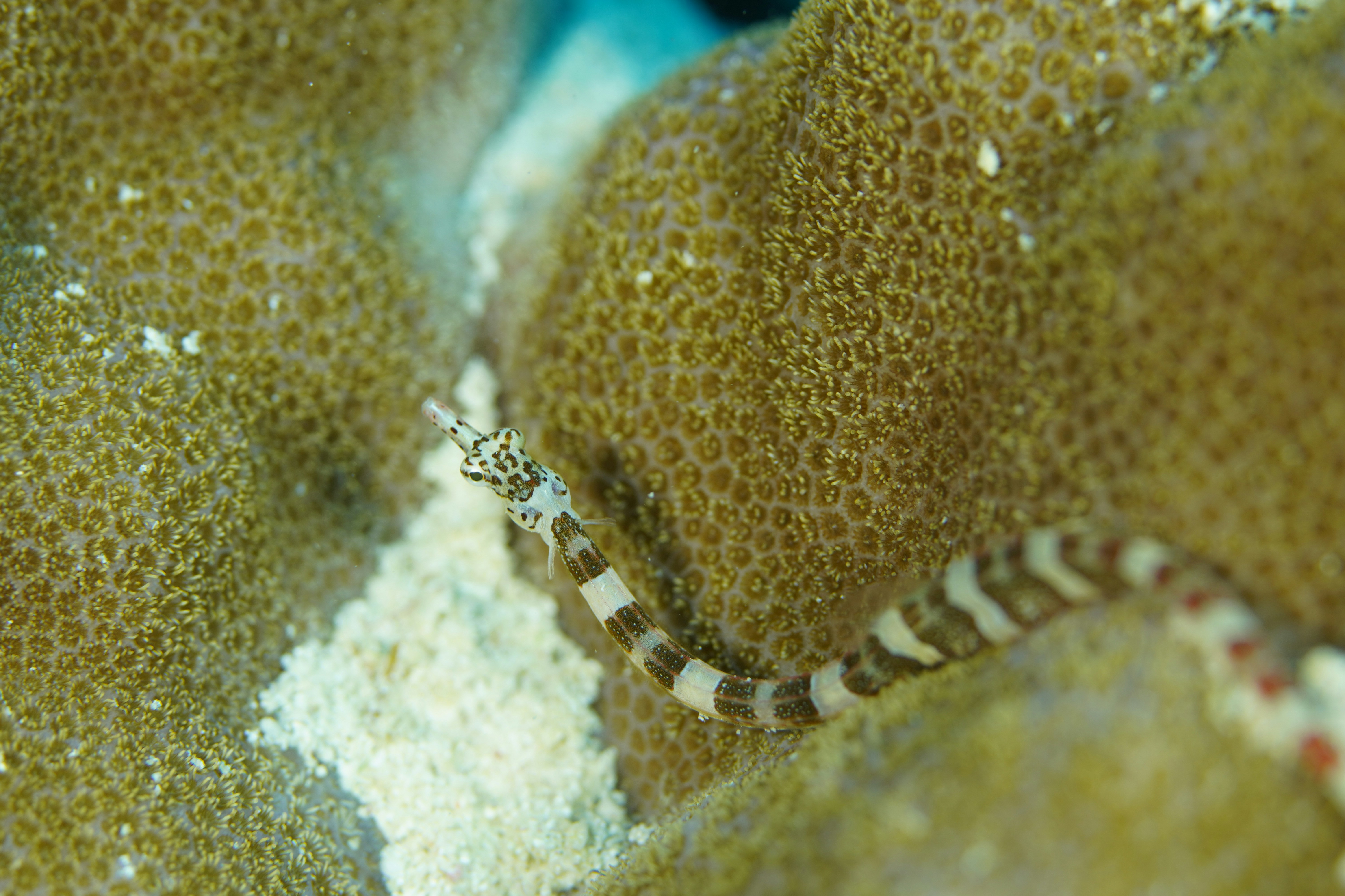 Photo by nothingtoseehere1492