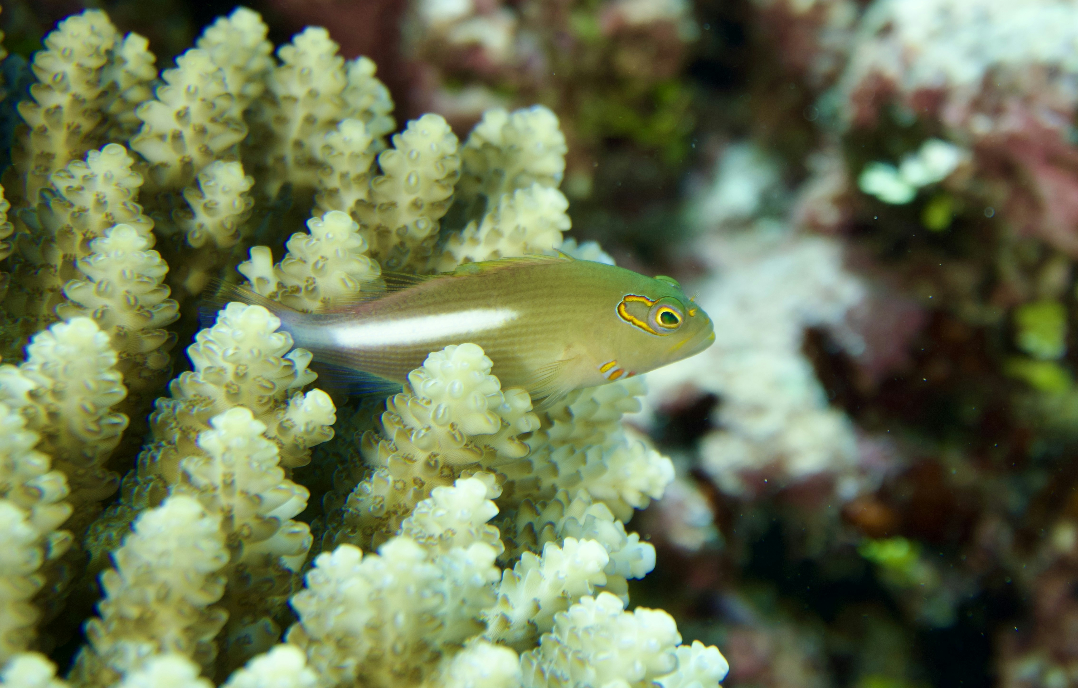 Photo by nothingtoseehere1492