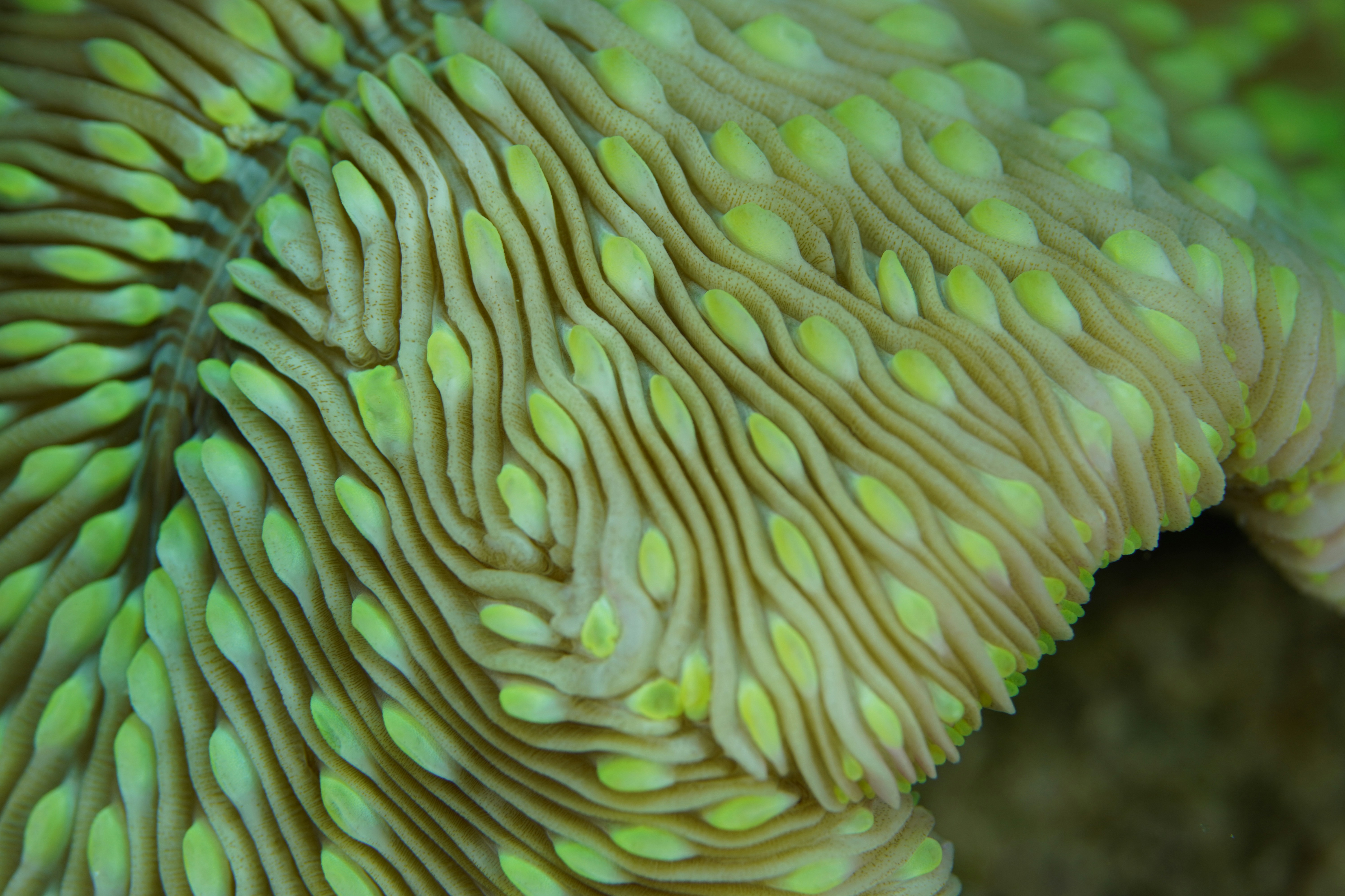 Photo by nothingtoseehere1492