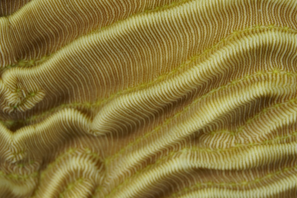 a close up view of a yellow fabric