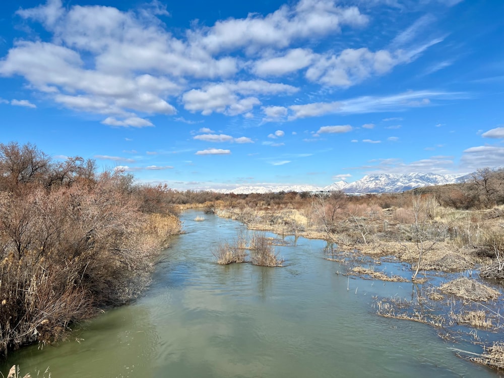 a river running through a dry grass covered field