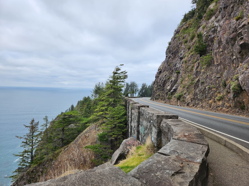A two-lane coastal highway carved into a cliff face high above the Pacific, with windswept pines clinging to the rocks