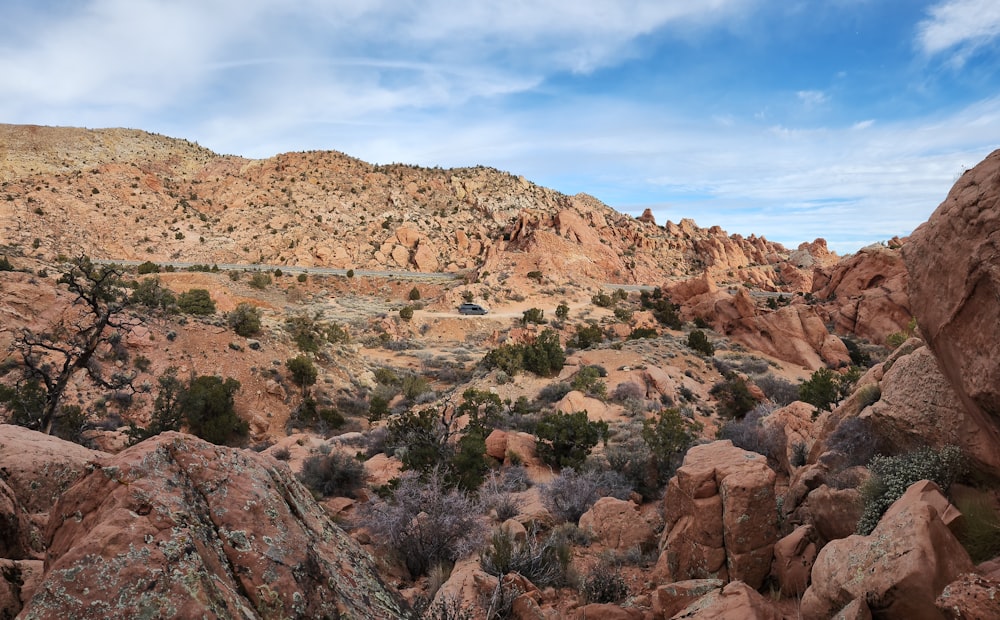 a view of a rocky landscape with trees and bushes