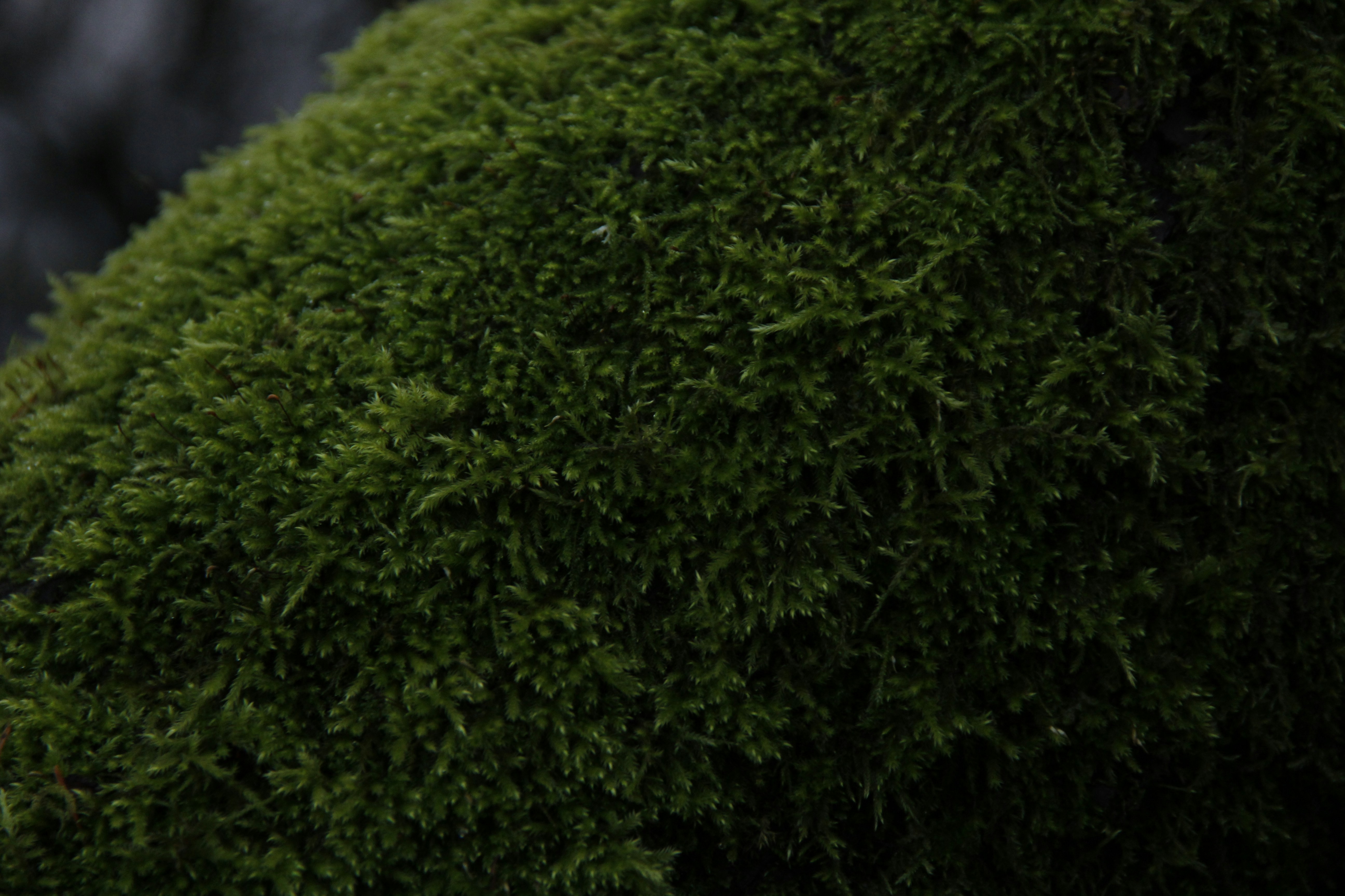 Photo by rileyrevell